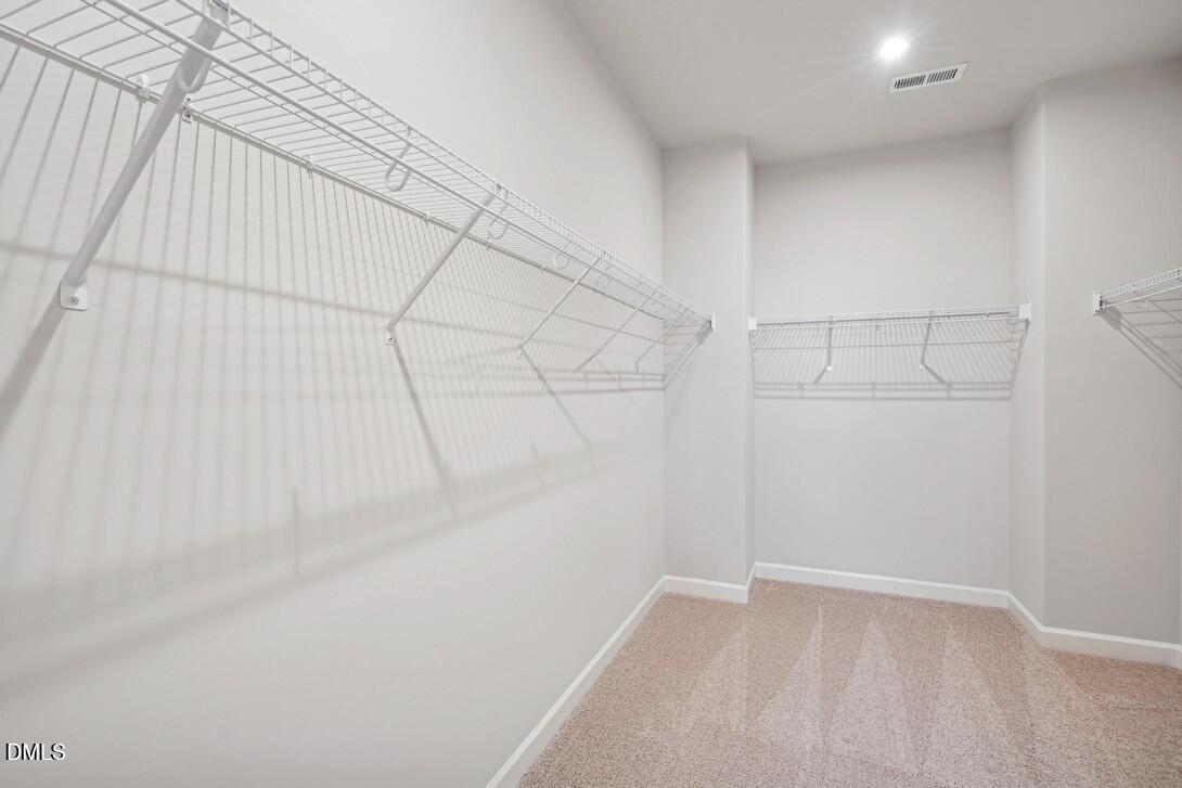 207 Solaire Alley Property Photo 16