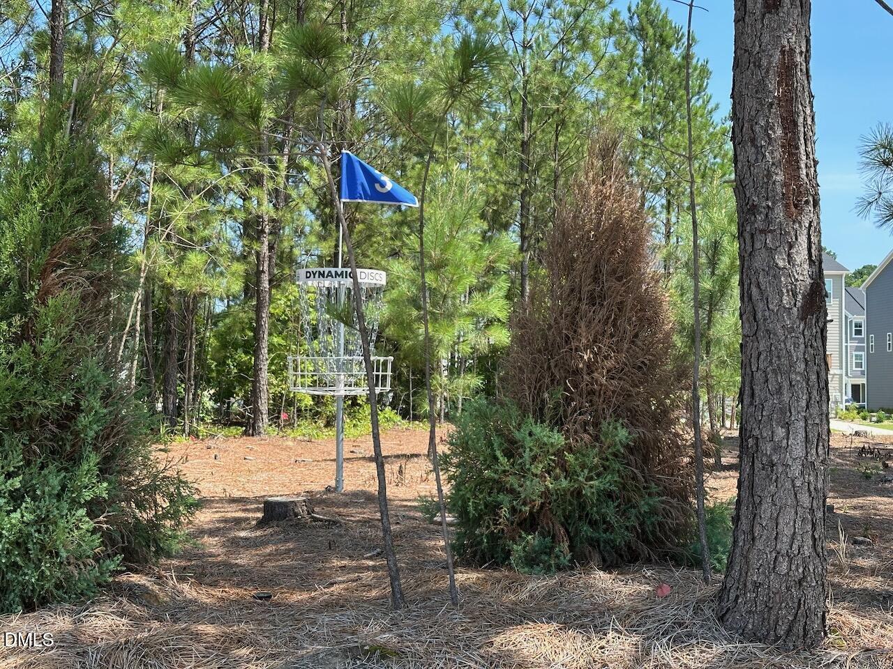 328 Carolina Springs Boulevard Property Photo 31