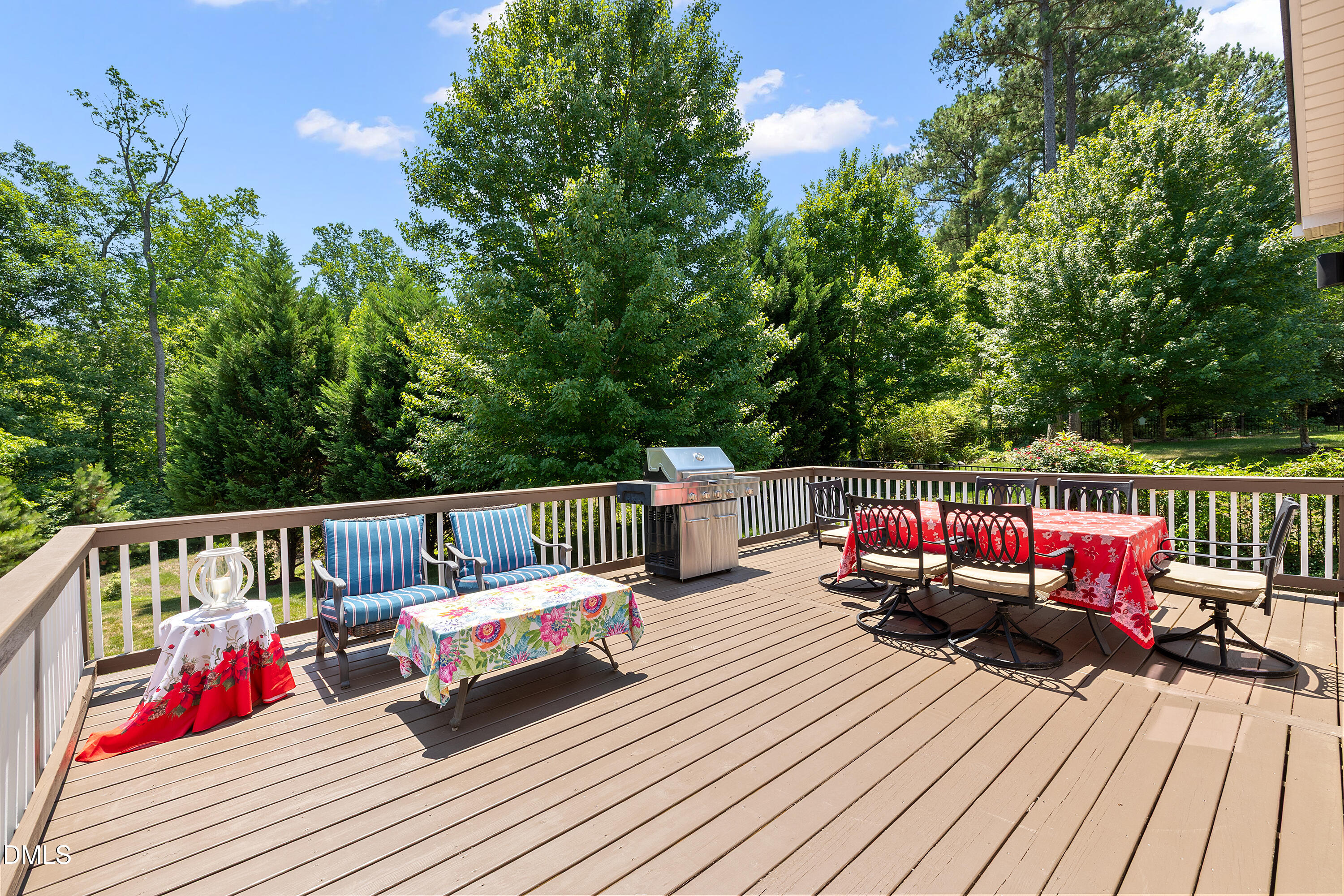 720 Manassas Gap Place Property Photo 9