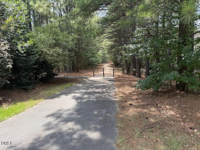 720 Manassas Gap Place Property Photo 61