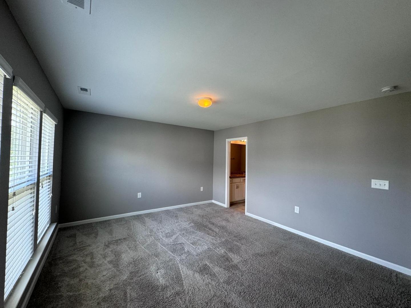 1024 Laceflower Drive Property Photo 23