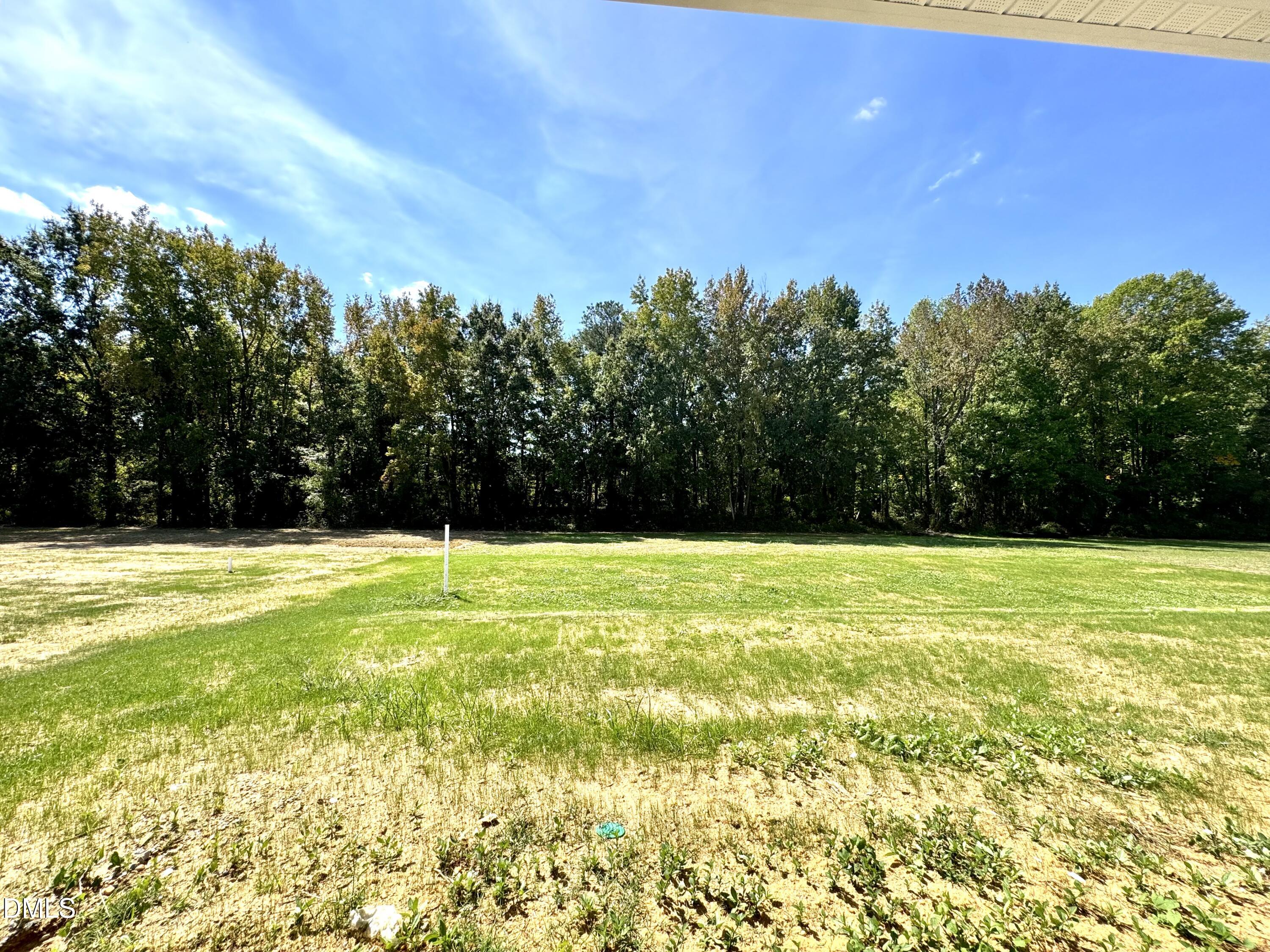 159 Cheshire Farm Drive Property Photo 16