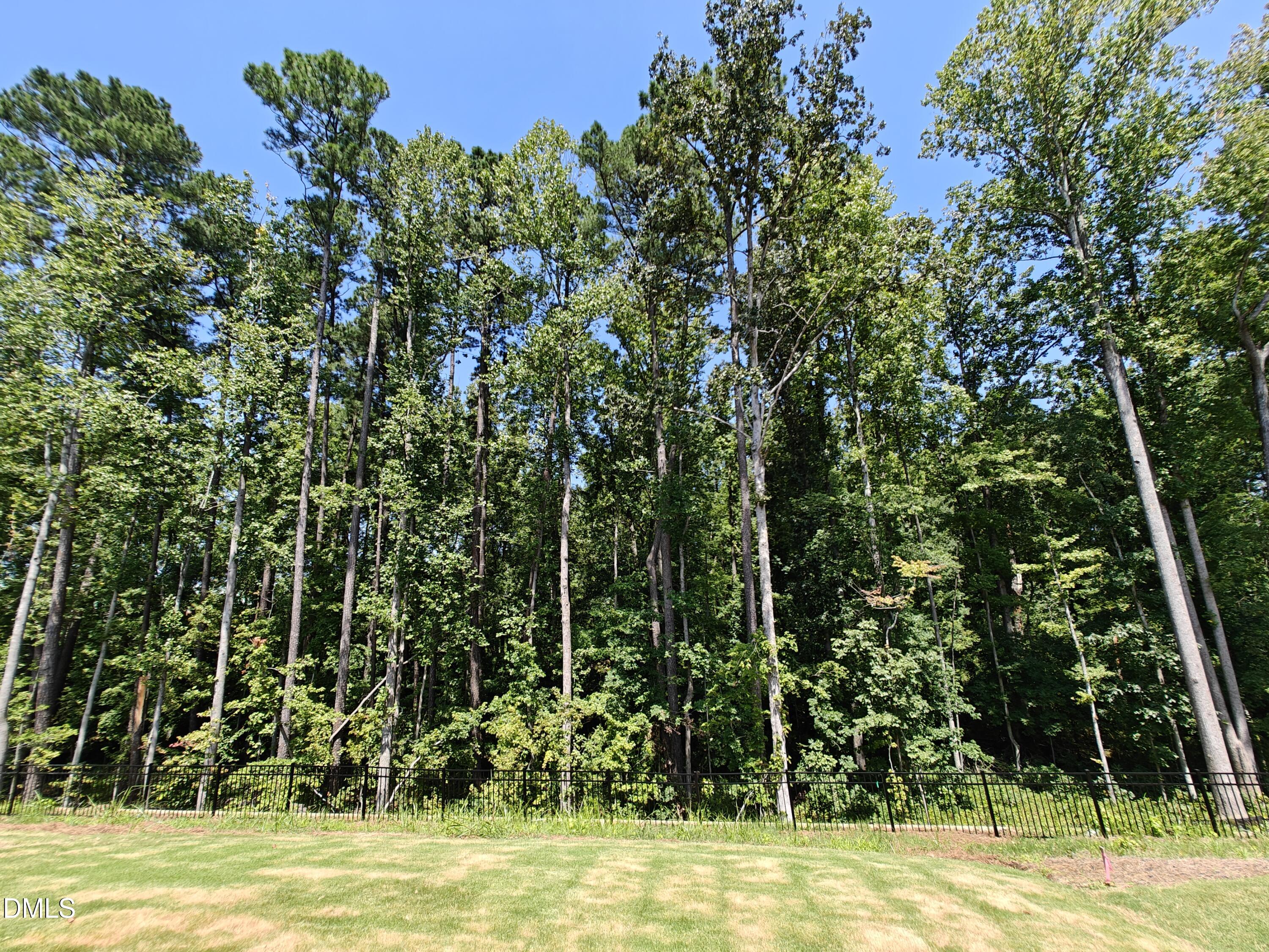 1730 Alpine Summer Lane Property Photo 34