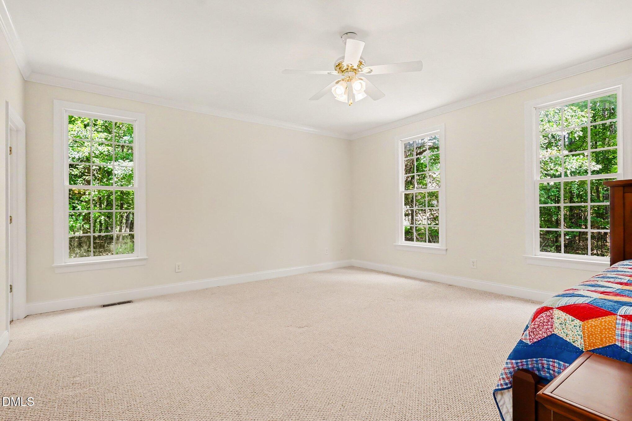 16109 New Light Road Property Photo 19
