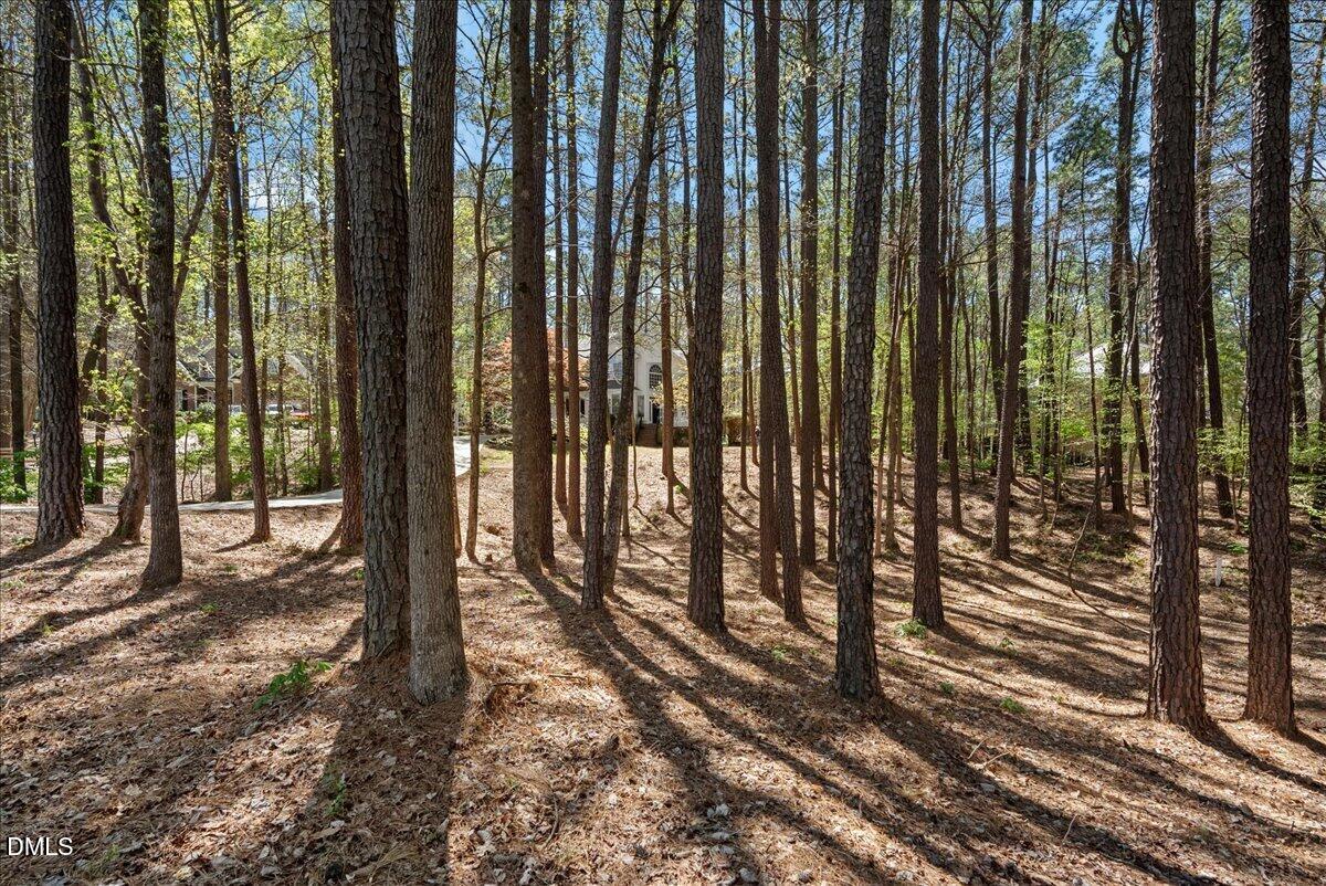 2509 Barton Ridge Court Property Photo 56