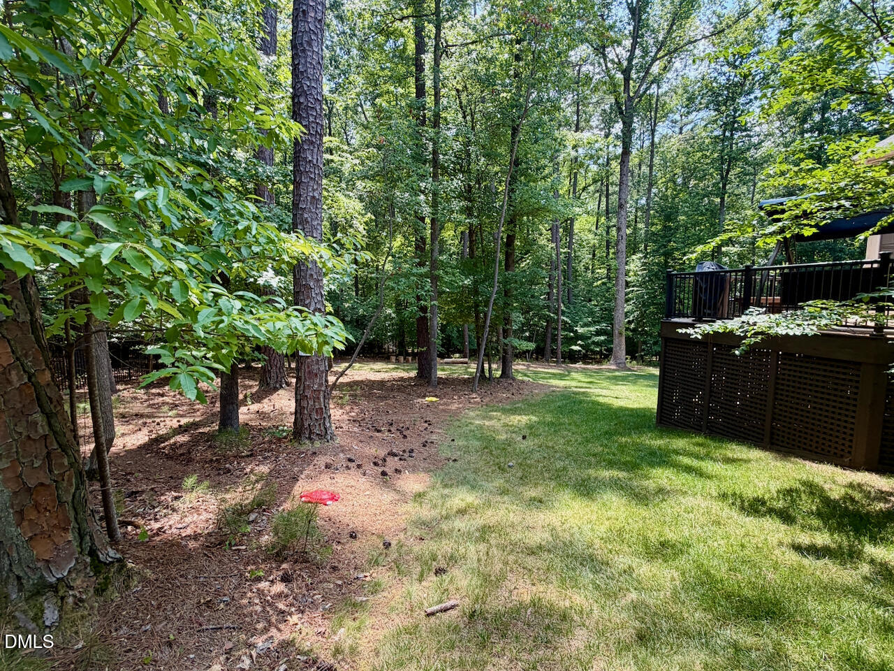 1213 Fall Line Court Property Photo 48