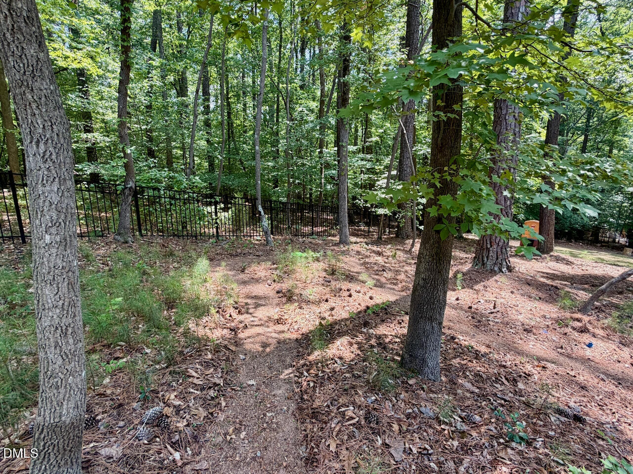 1213 Fall Line Court Property Photo 49