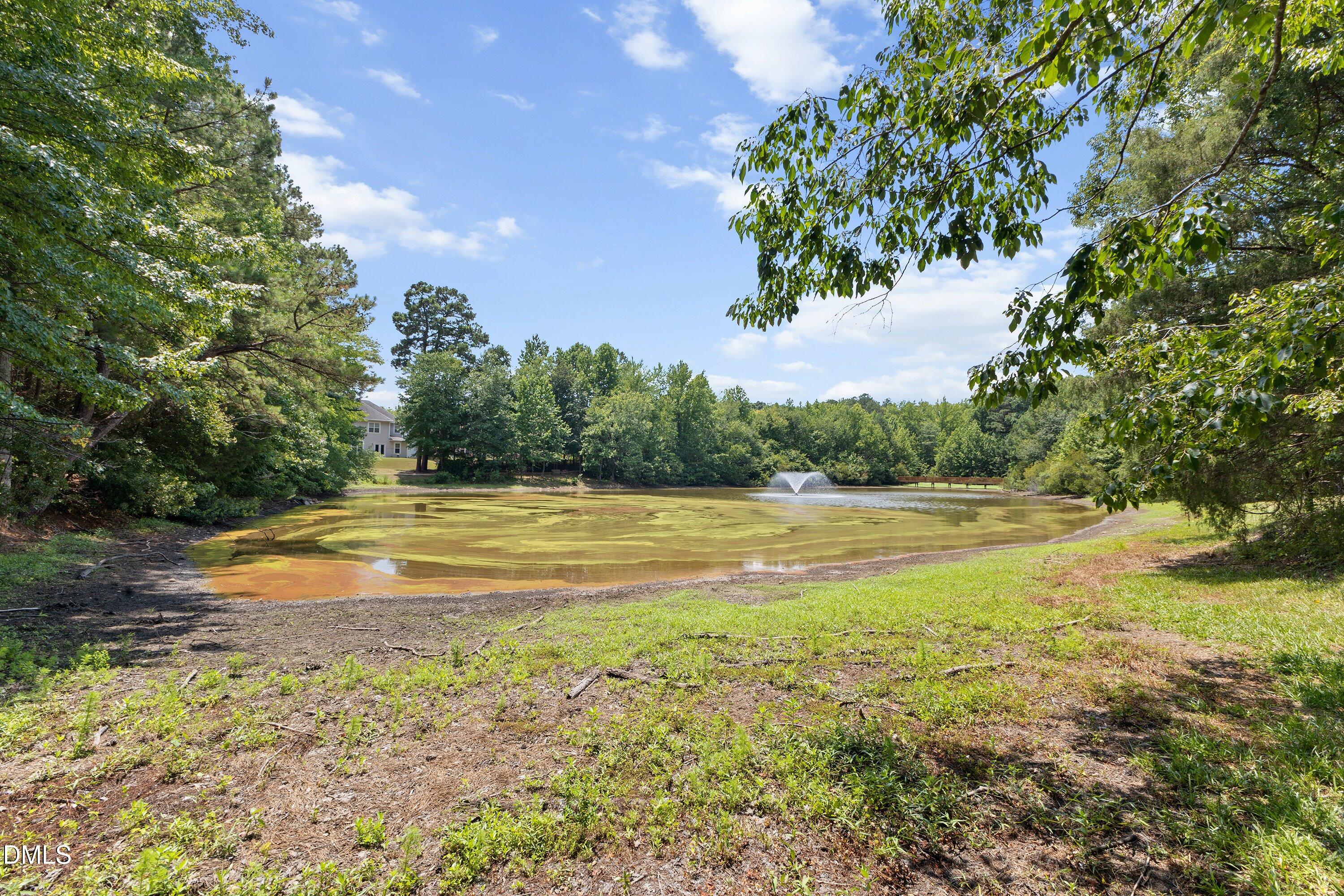 3820 Amelia Park Drive Property Photo 39