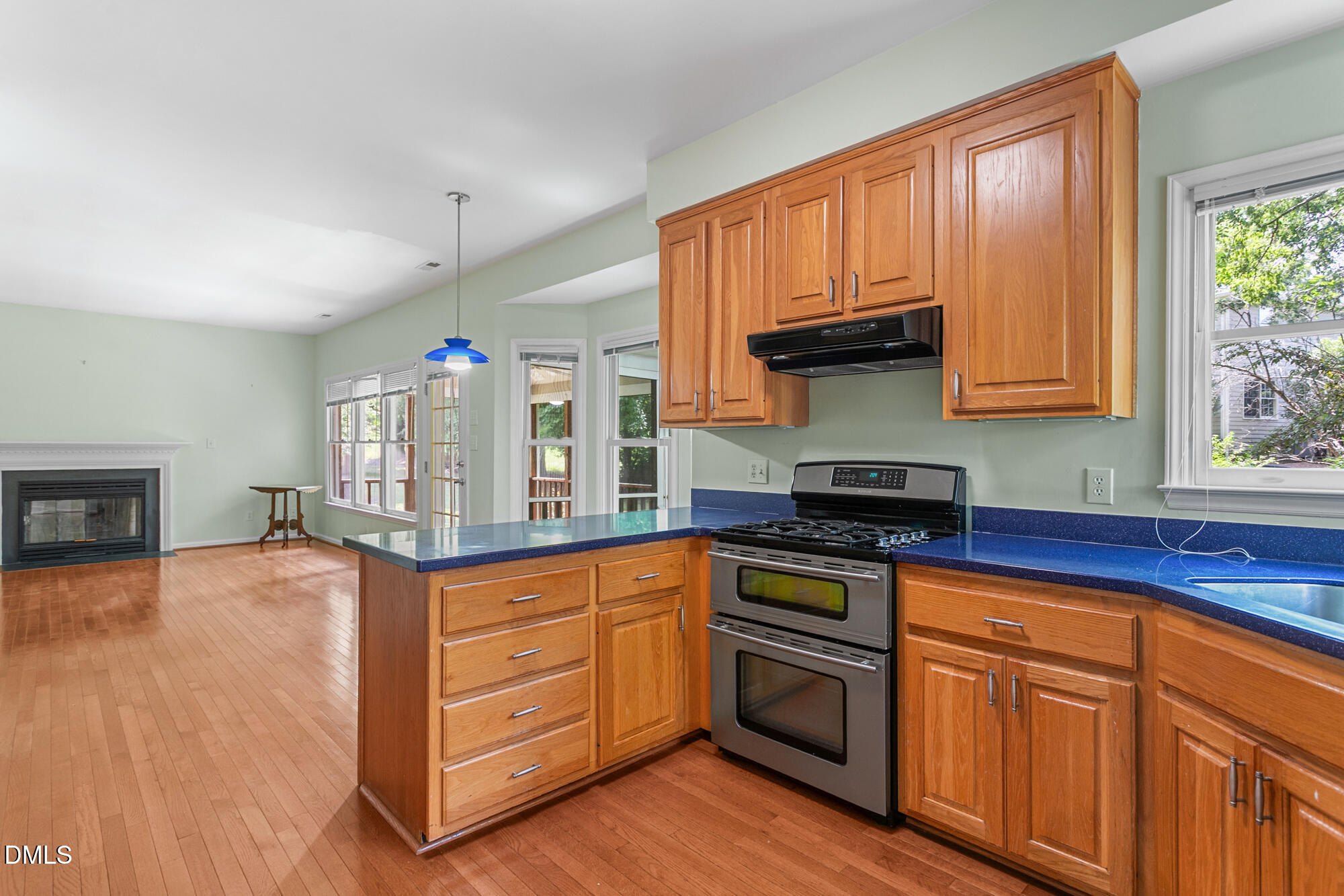 207 Windhover Drive Property Photo 10