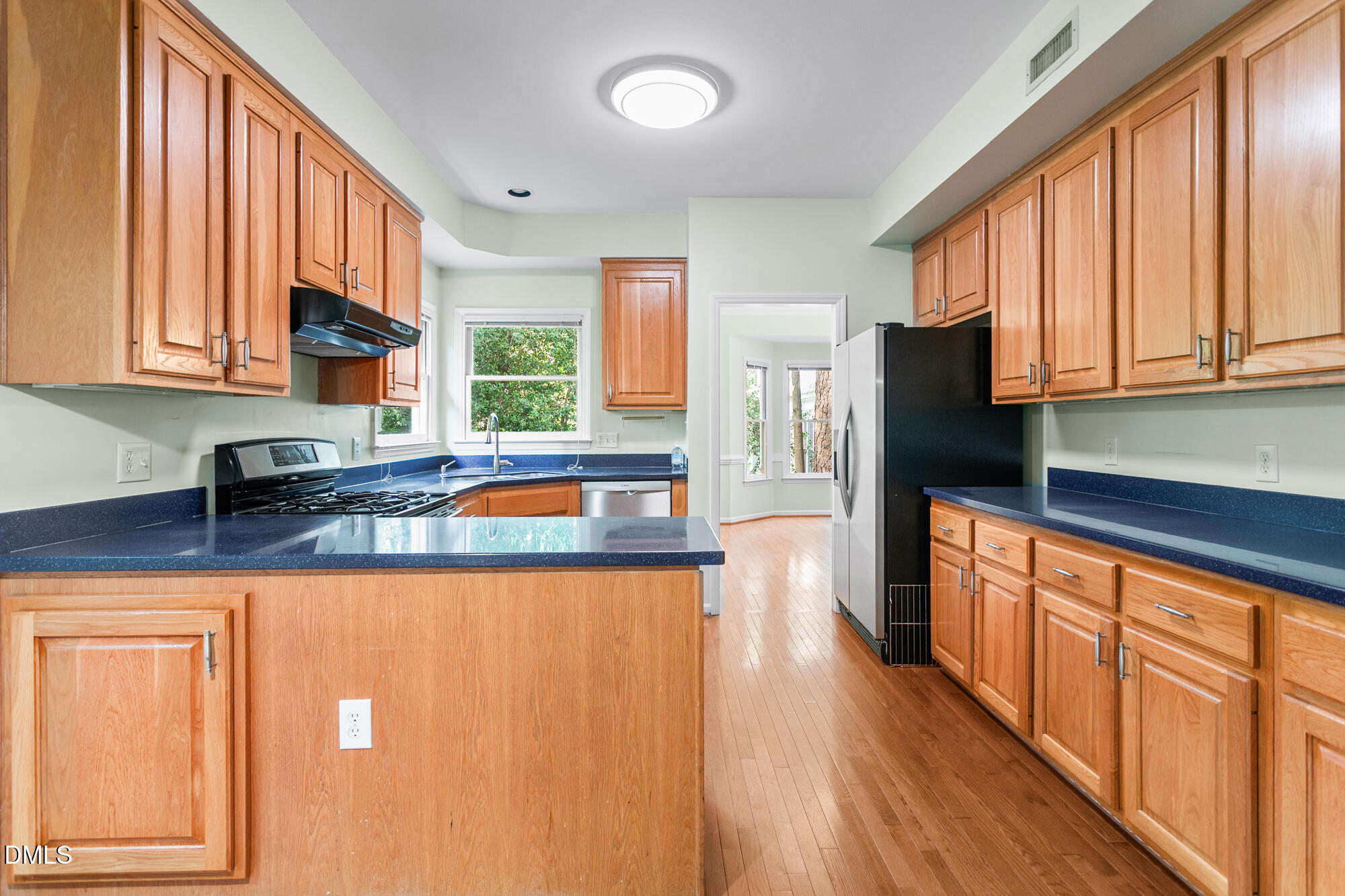 207 Windhover Drive Property Photo 12