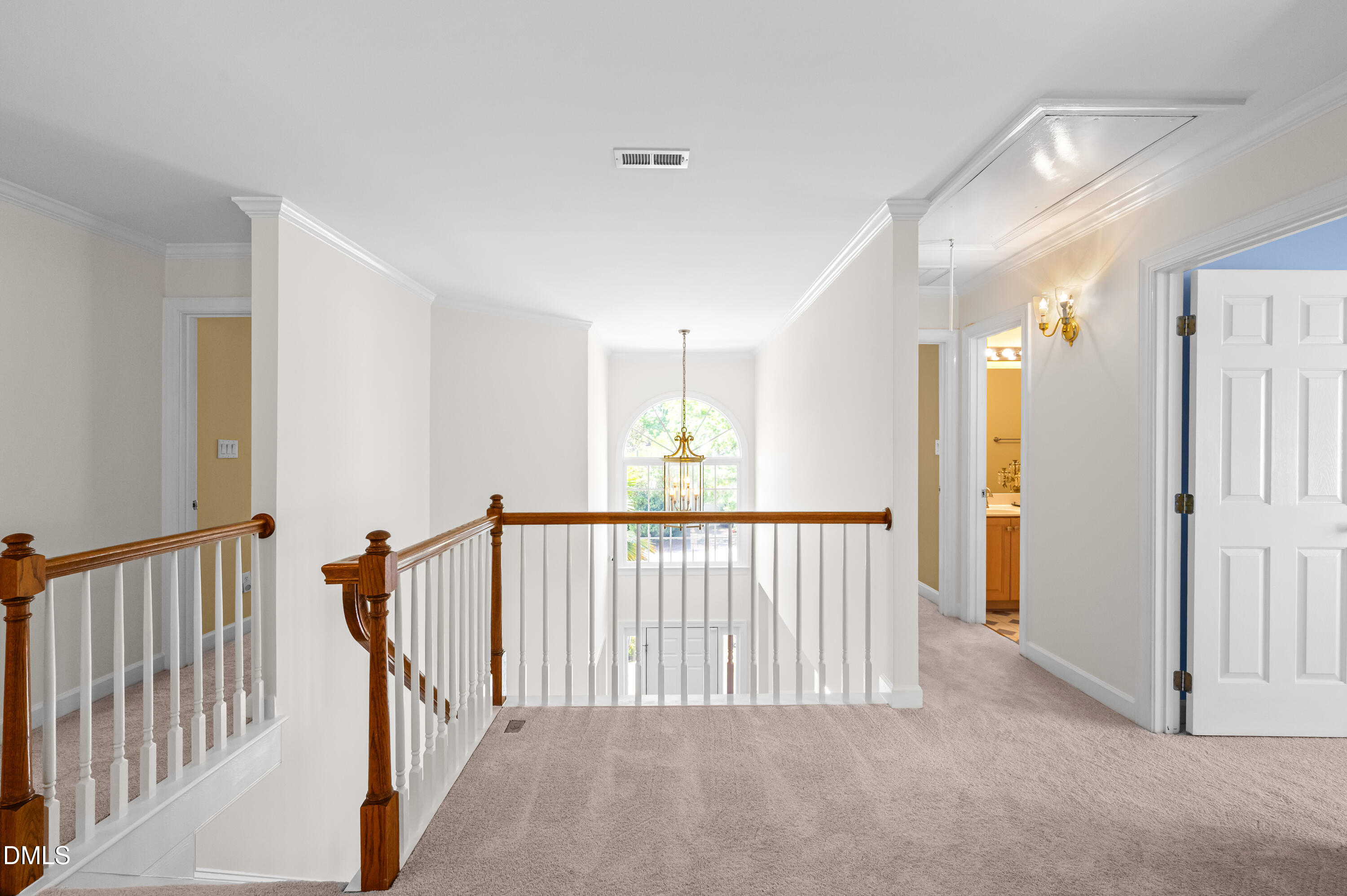 805 Cricketfield Lane Property Photo 19