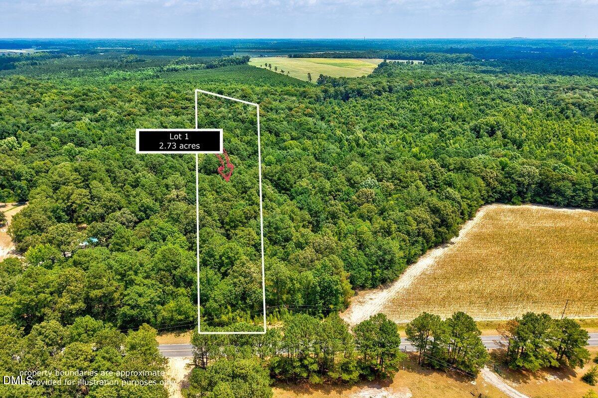 Lot 1 Ruth Vinson Road Property Photo 1