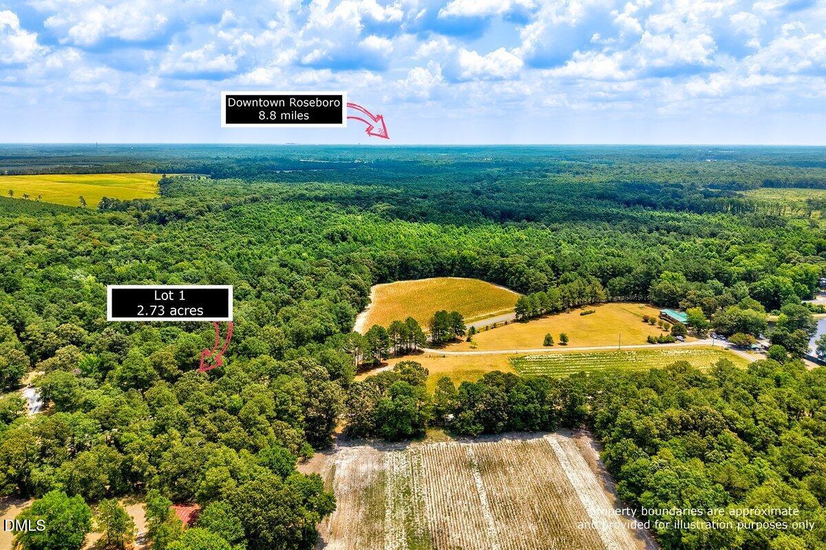 Lot 1 Ruth Vinson Road Property Photo 2