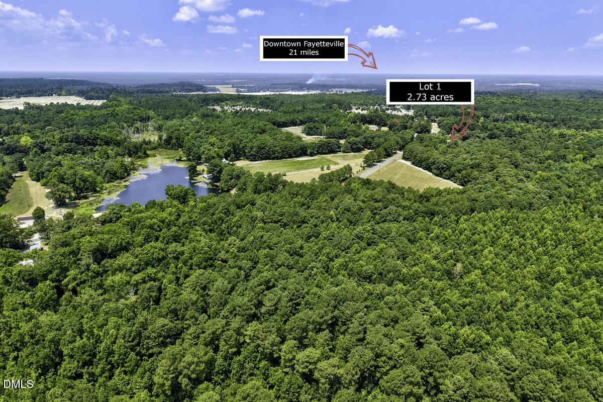 Lot 1 Ruth Vinson Road Property Photo 3