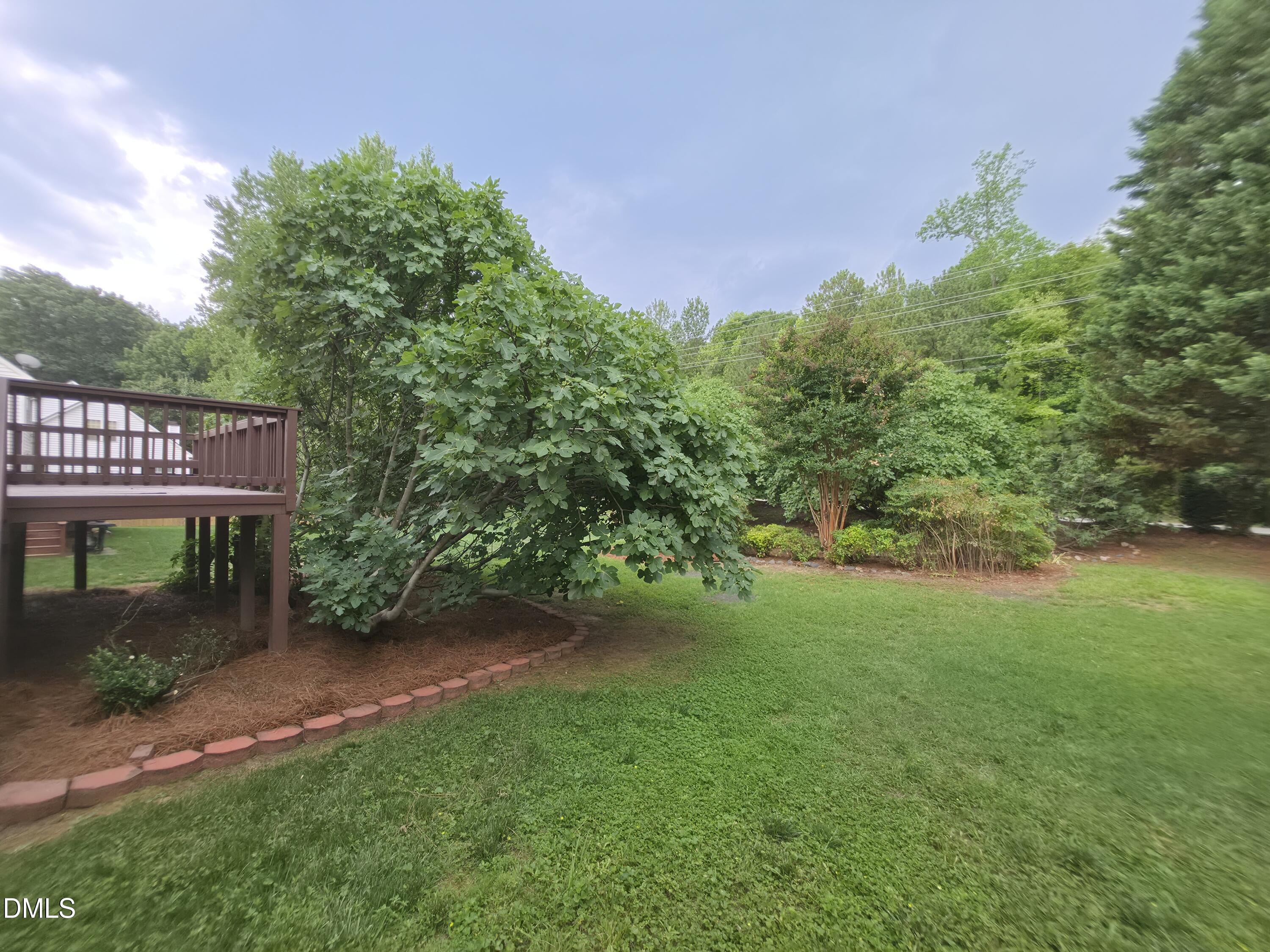 8717 Springhouse Lane Property Photo 35