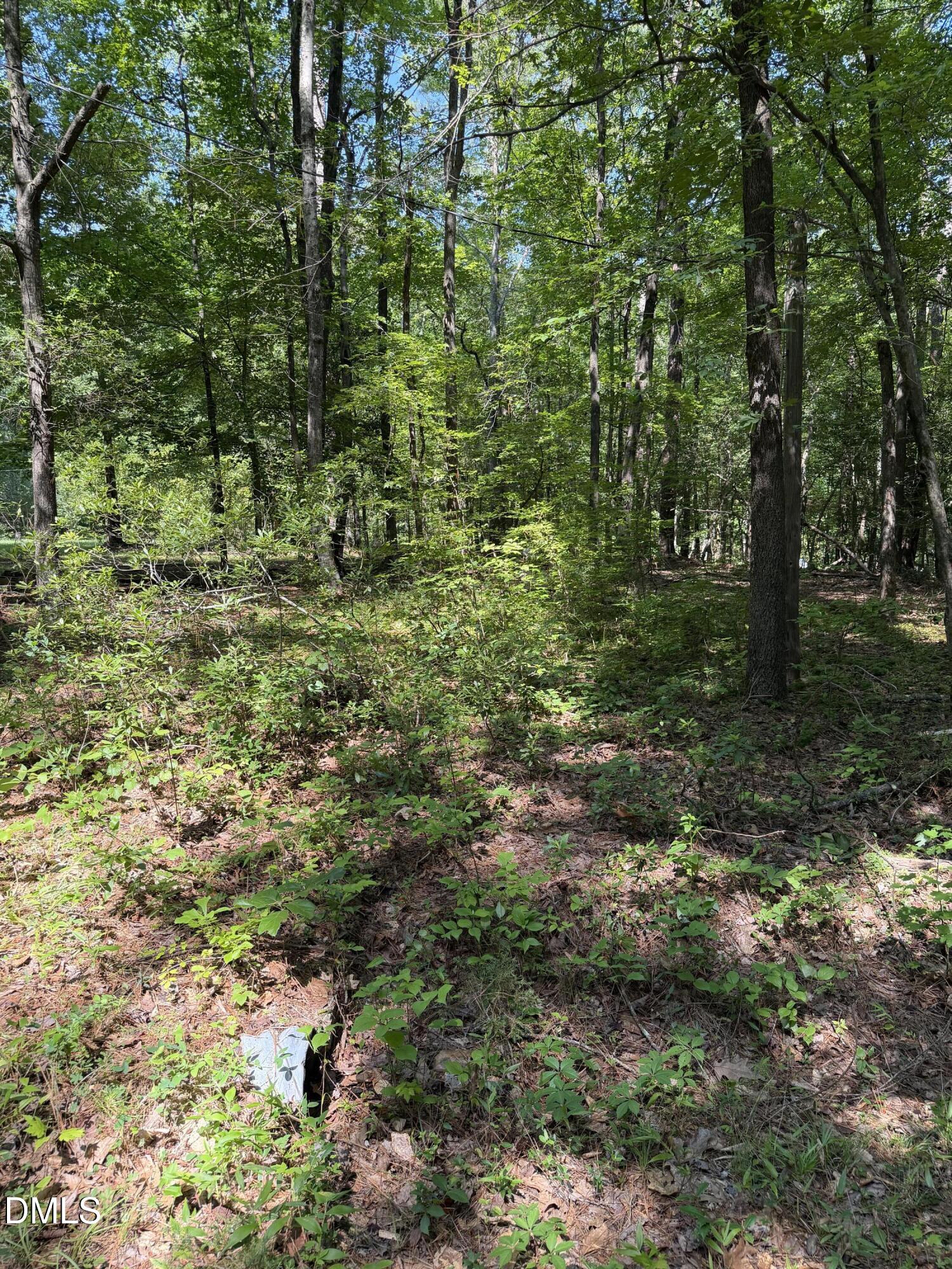 153 Omaha Drive Property Photo 2