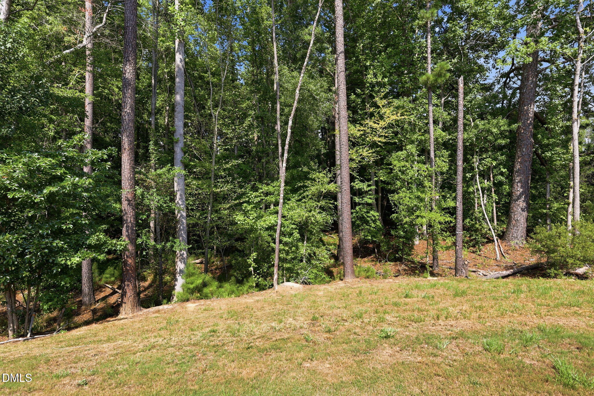 90 Everglade Way Property Photo 29