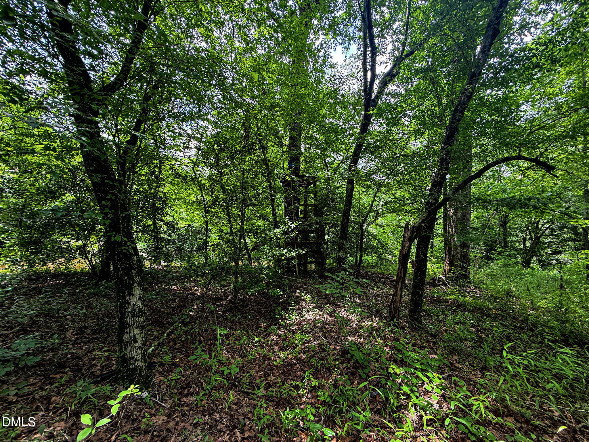 147 Hood Loop Road Property Photo 28