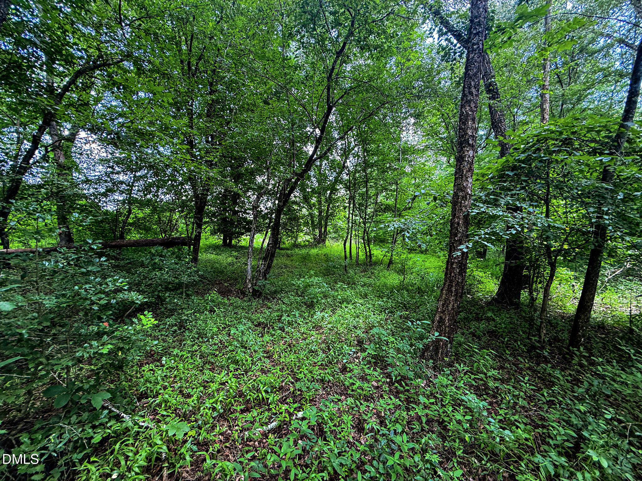 147 Hood Loop Road Property Photo 29