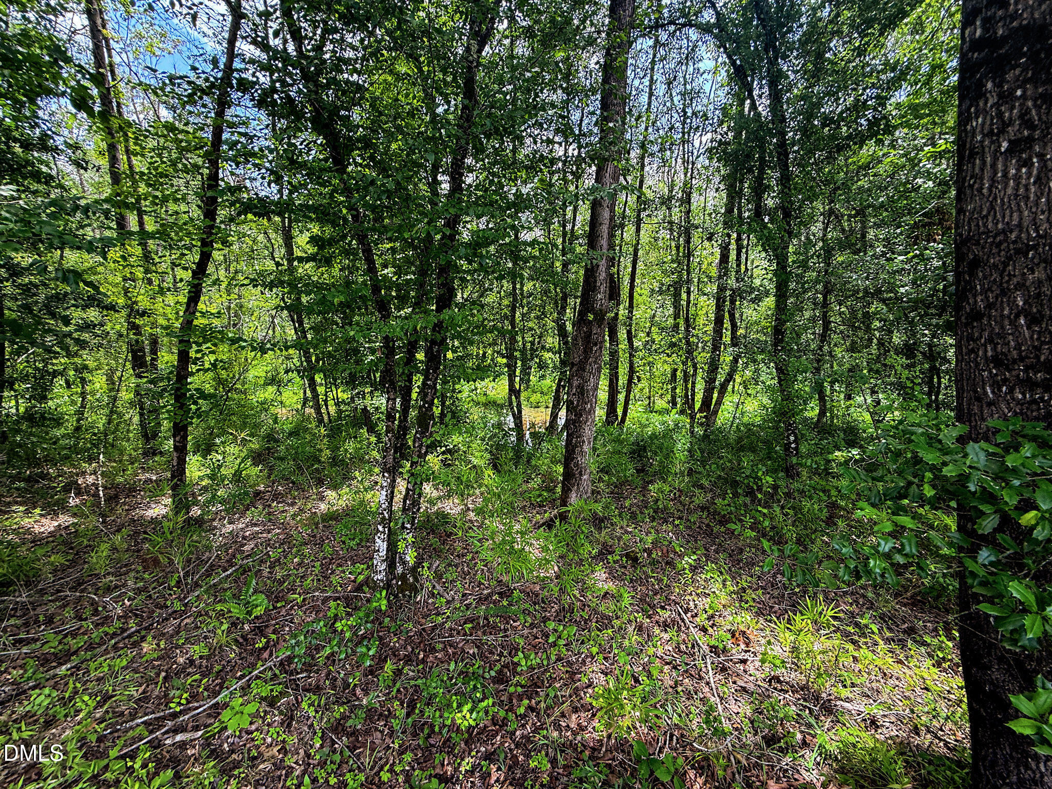 147 Hood Loop Road Property Photo 31