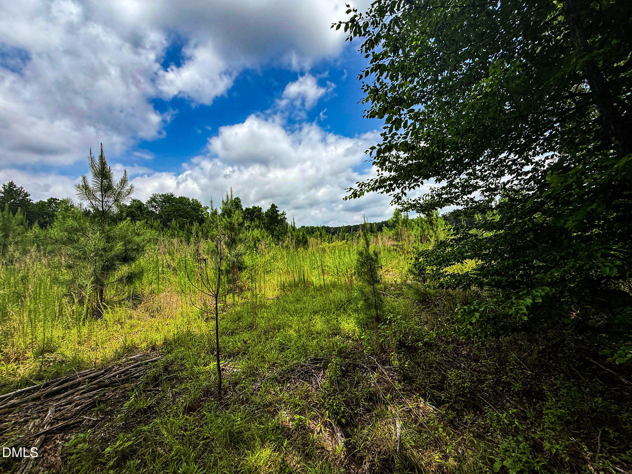 147 Hood Loop Road Property Photo 32