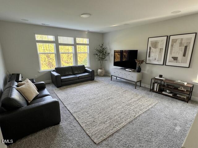 123 Pepperwood Way Property Photo 22