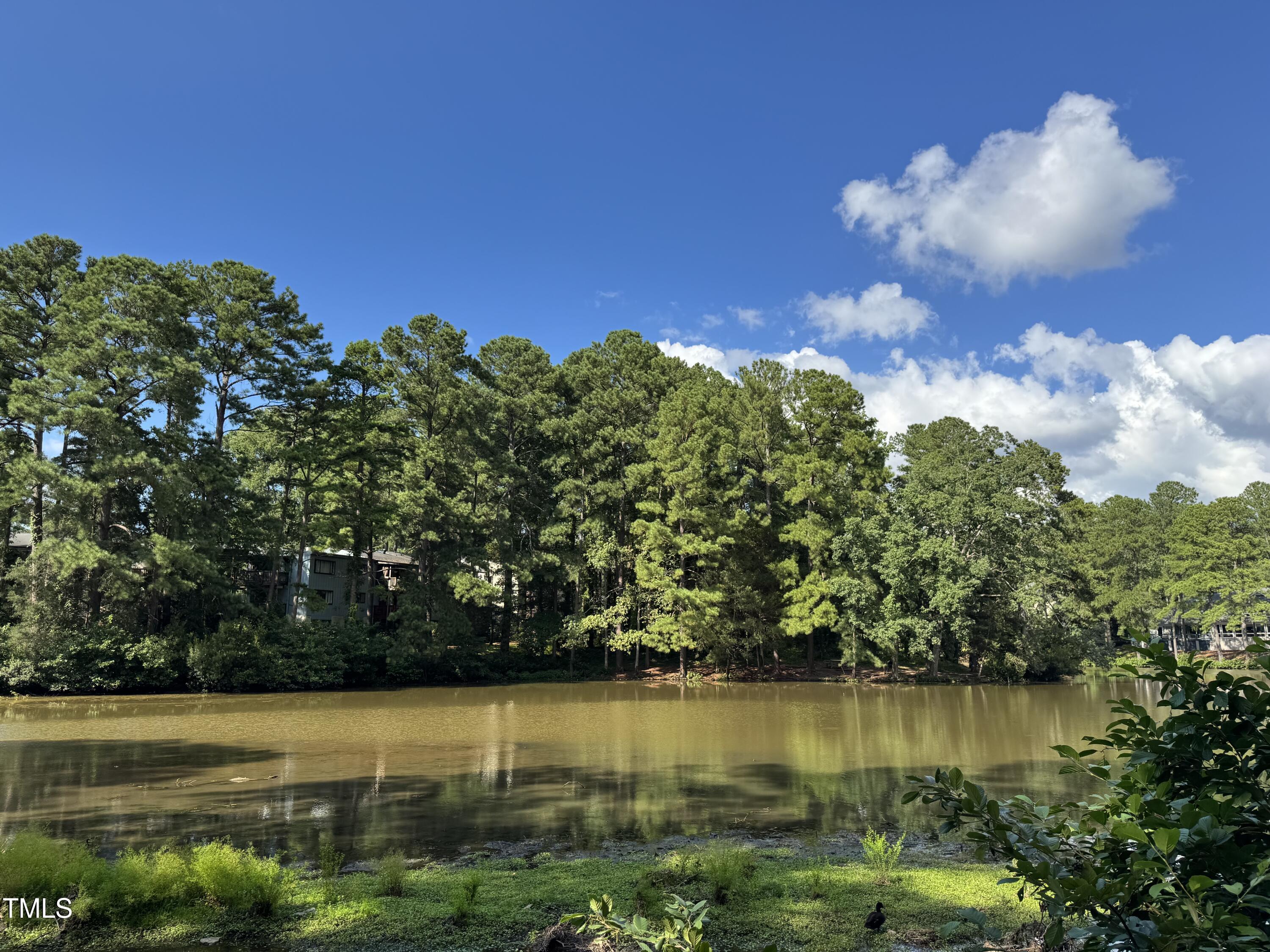 5112 Flint Ridge Place Property Photo 2