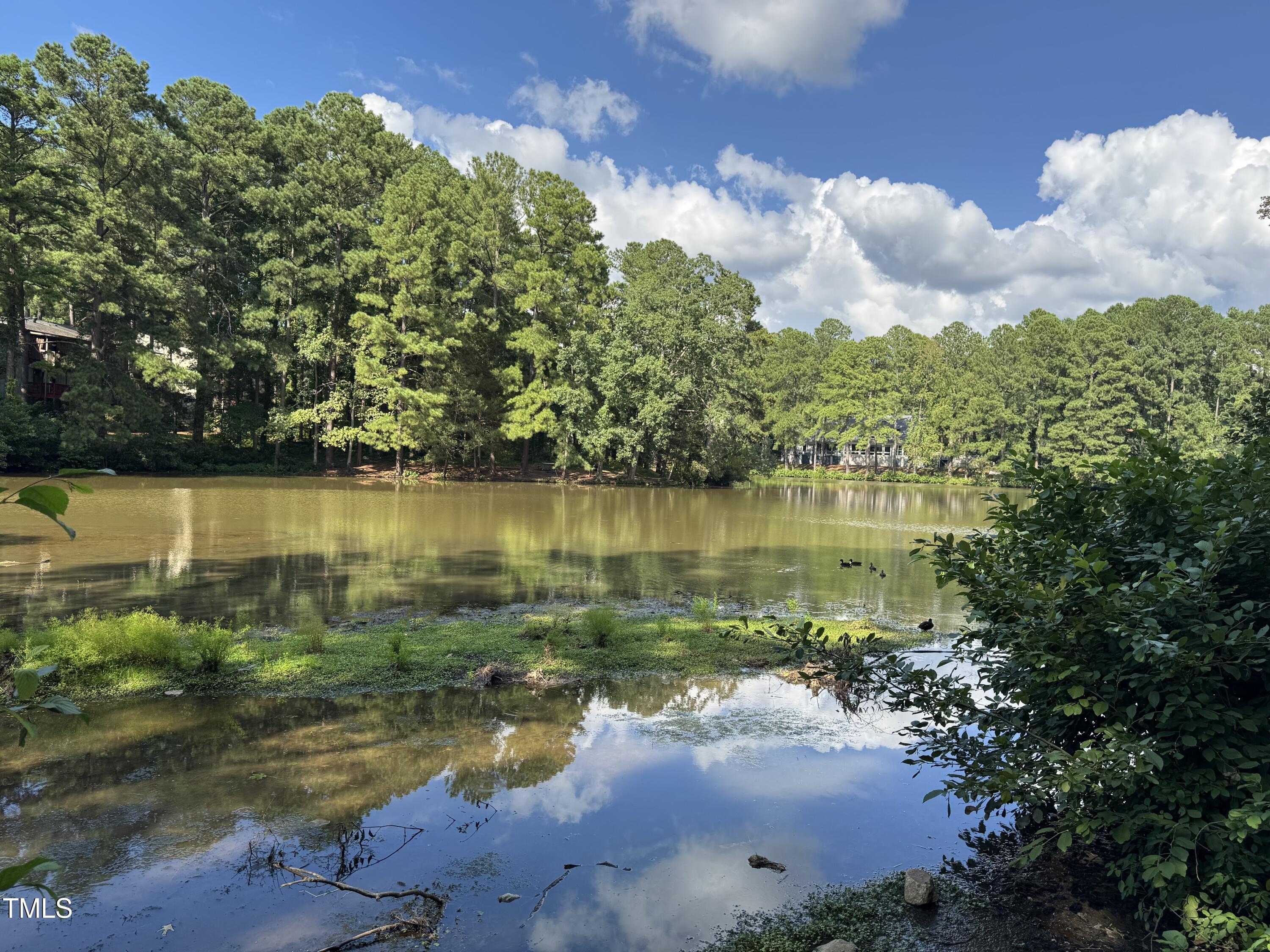 5112 Flint Ridge Place Property Photo 15