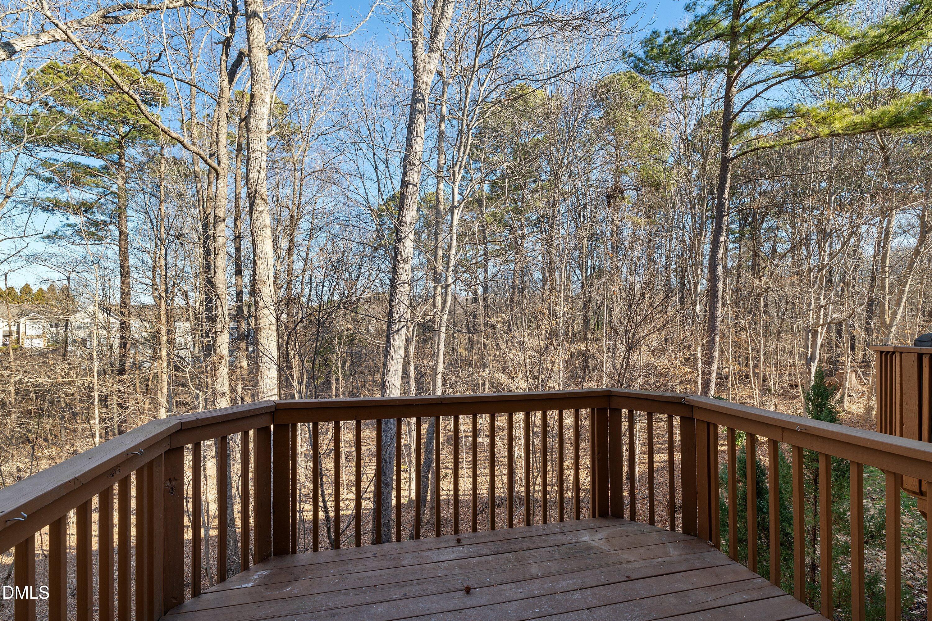 4750 Black Mountain Path Property Photo 24