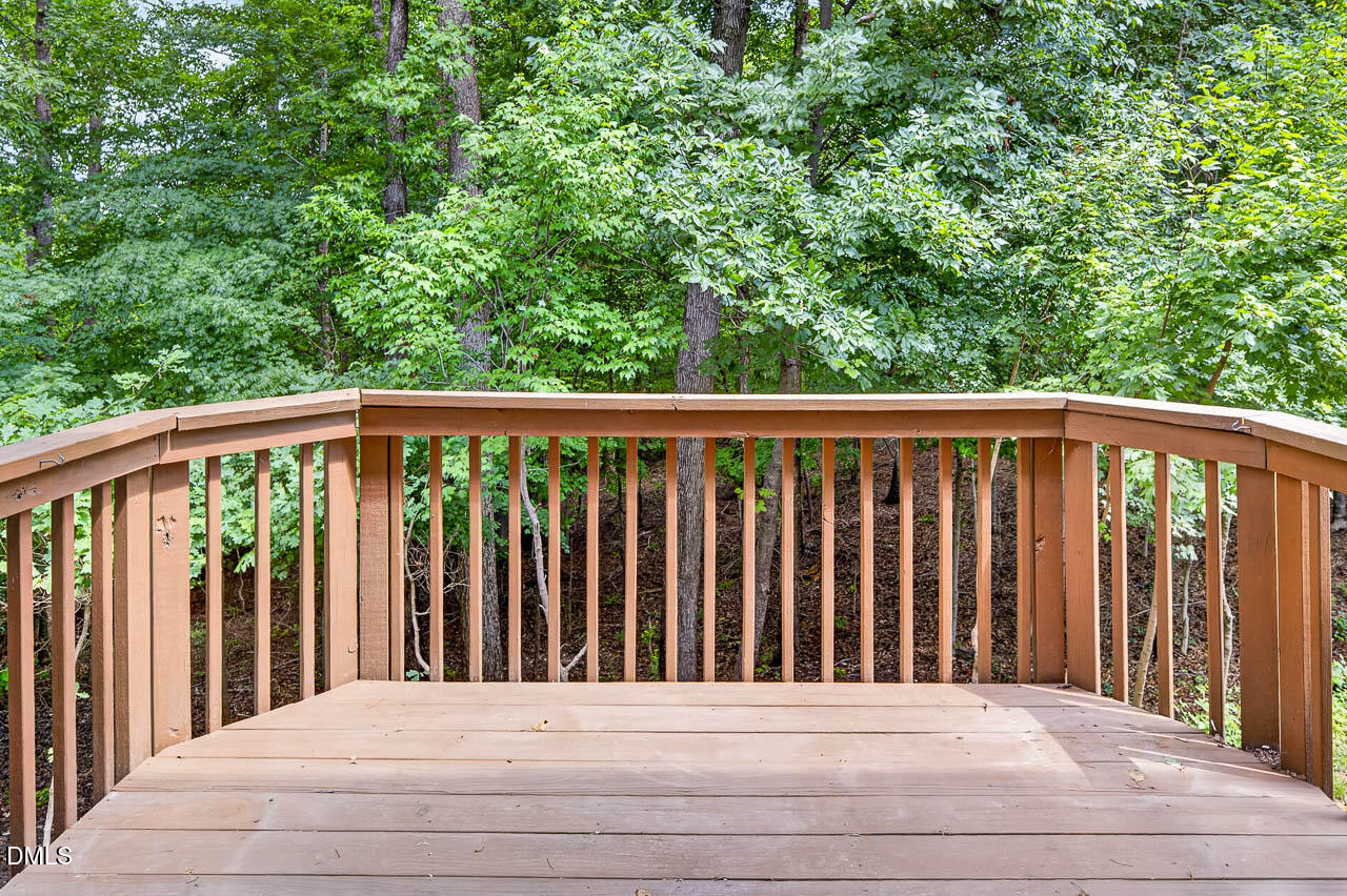 4750 Black Mountain Path Property Photo 47