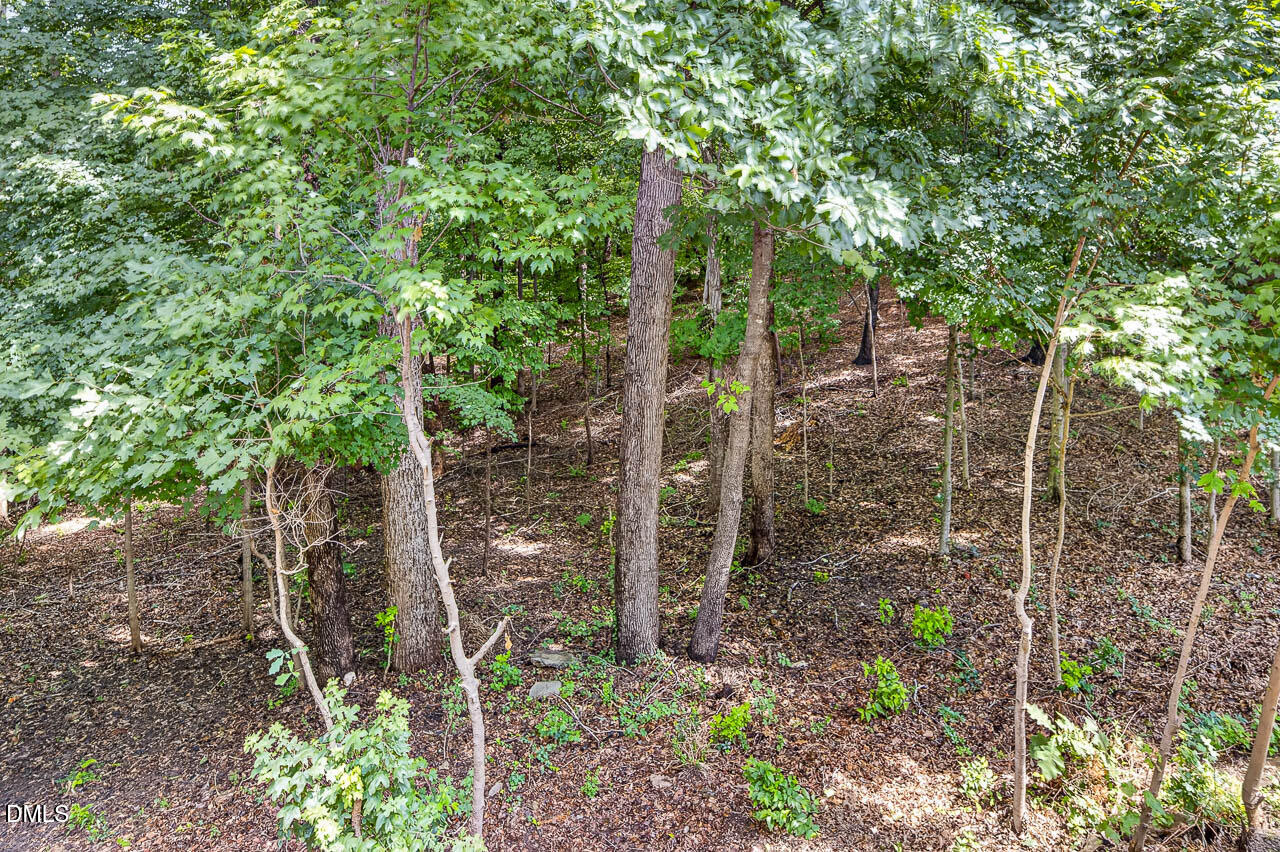 4750 Black Mountain Path Property Photo 48