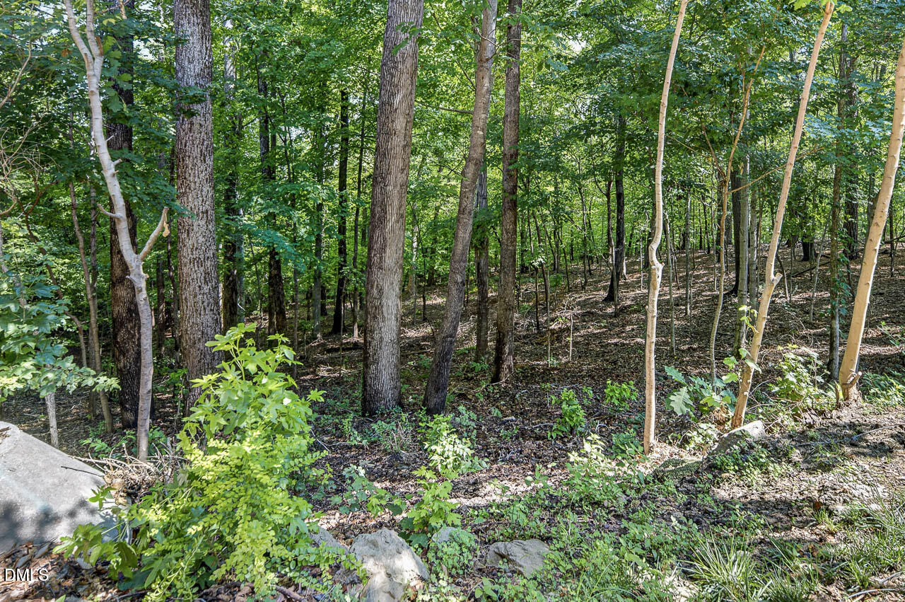 4750 Black Mountain Path Property Photo 49