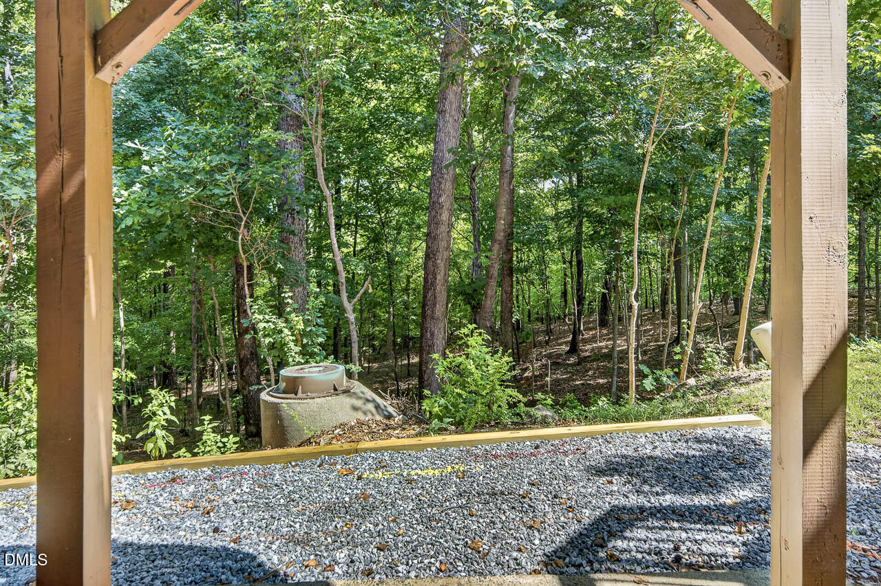 4750 Black Mountain Path Property Photo 51