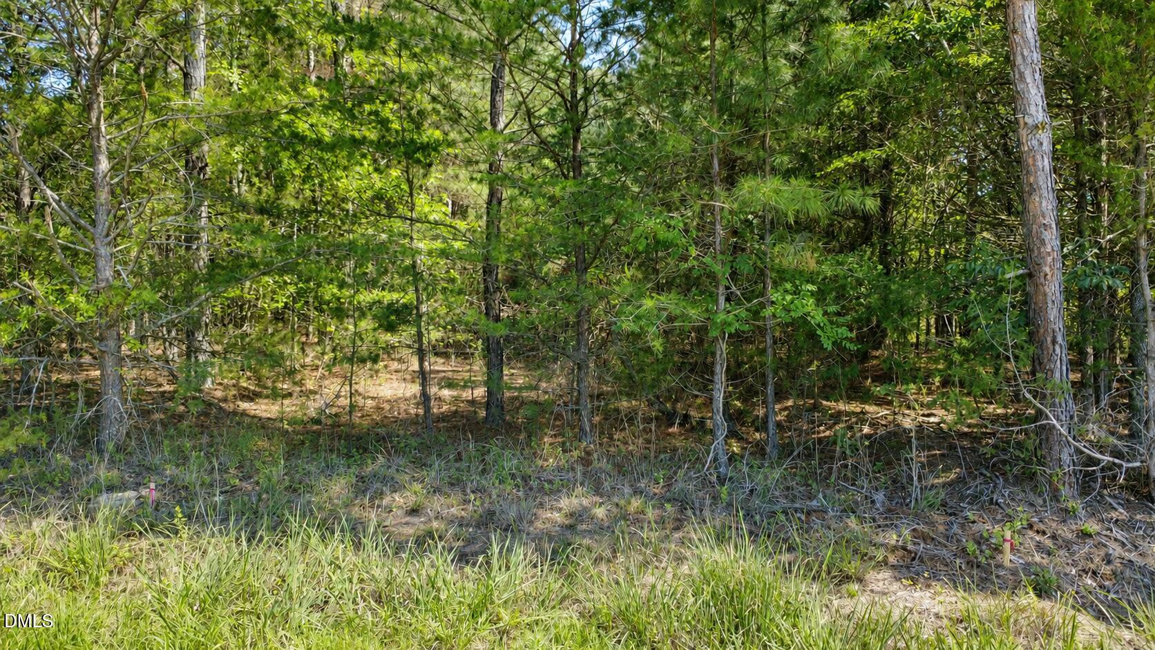 0 Weldon Painter Road Property Photo 6