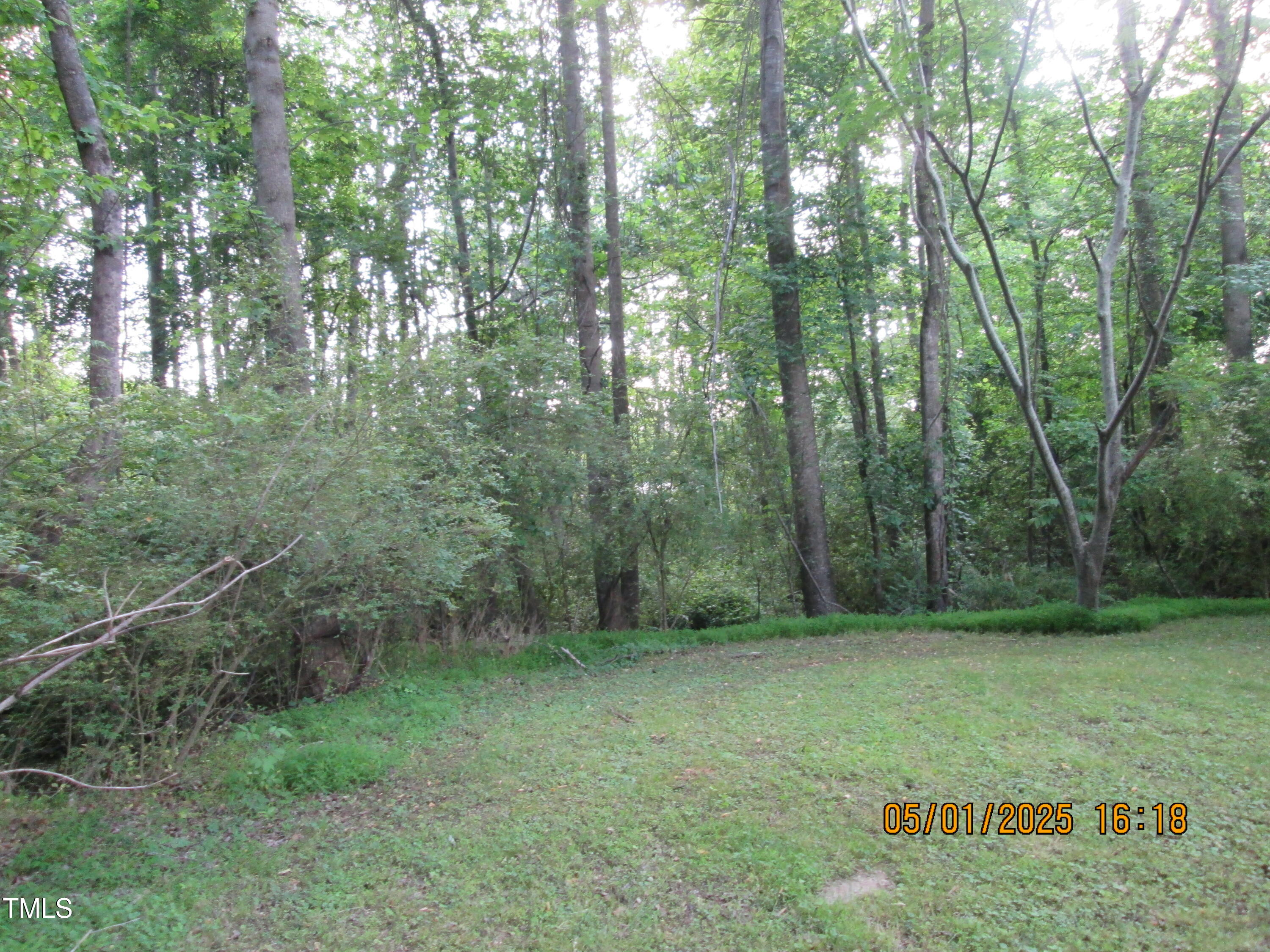 169 Mount Pleasant Road Property Photo 30