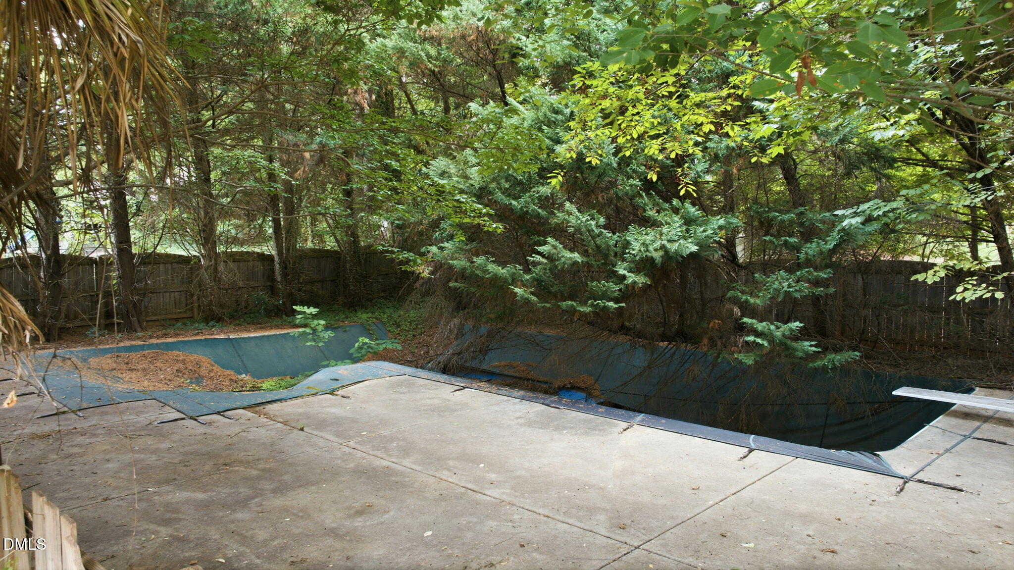 7809 Panther Branch Drive Property Photo 49