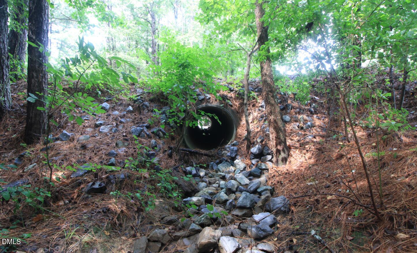 0 Hwy 42 Property Photo 11