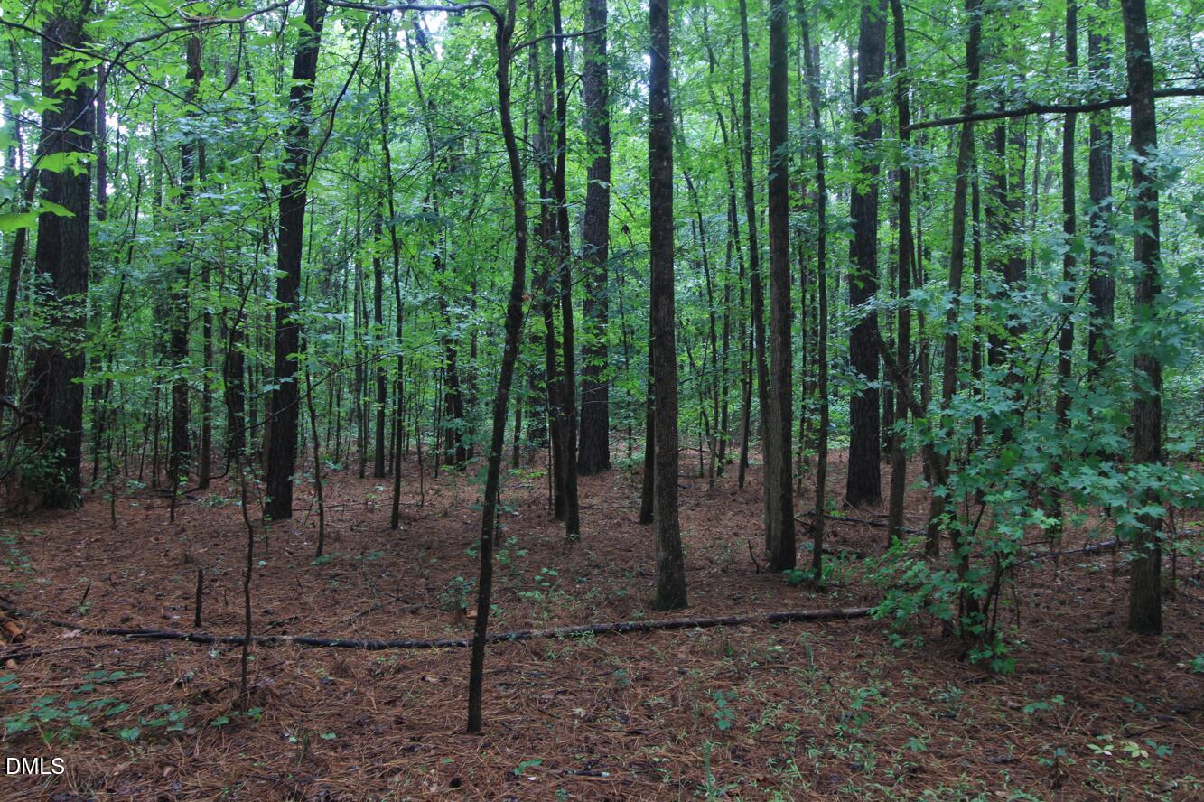 0 Hwy 42 Property Photo 14