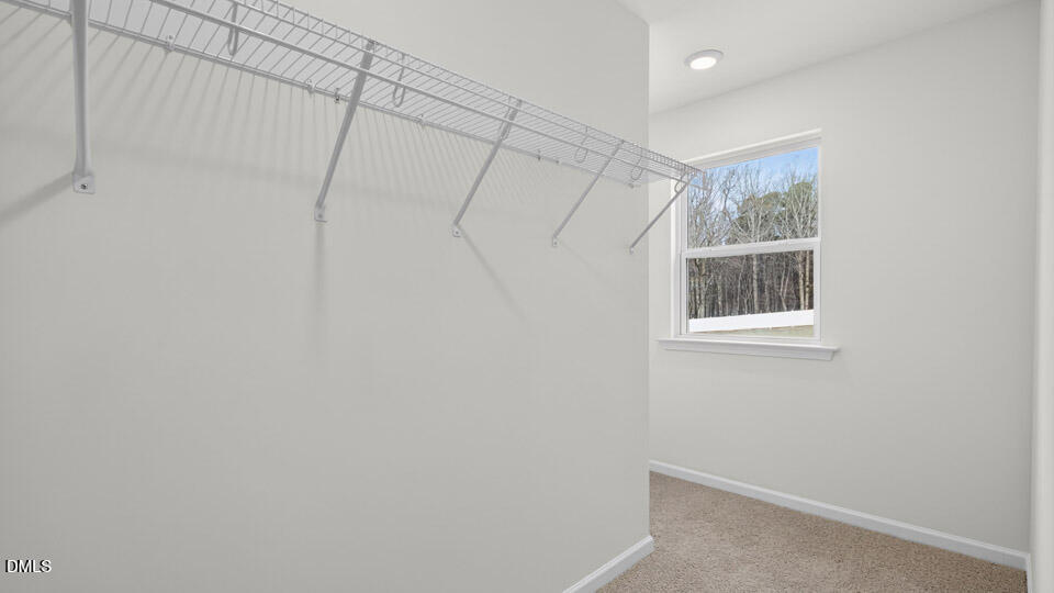119 Vignette Drive Property Photo 24