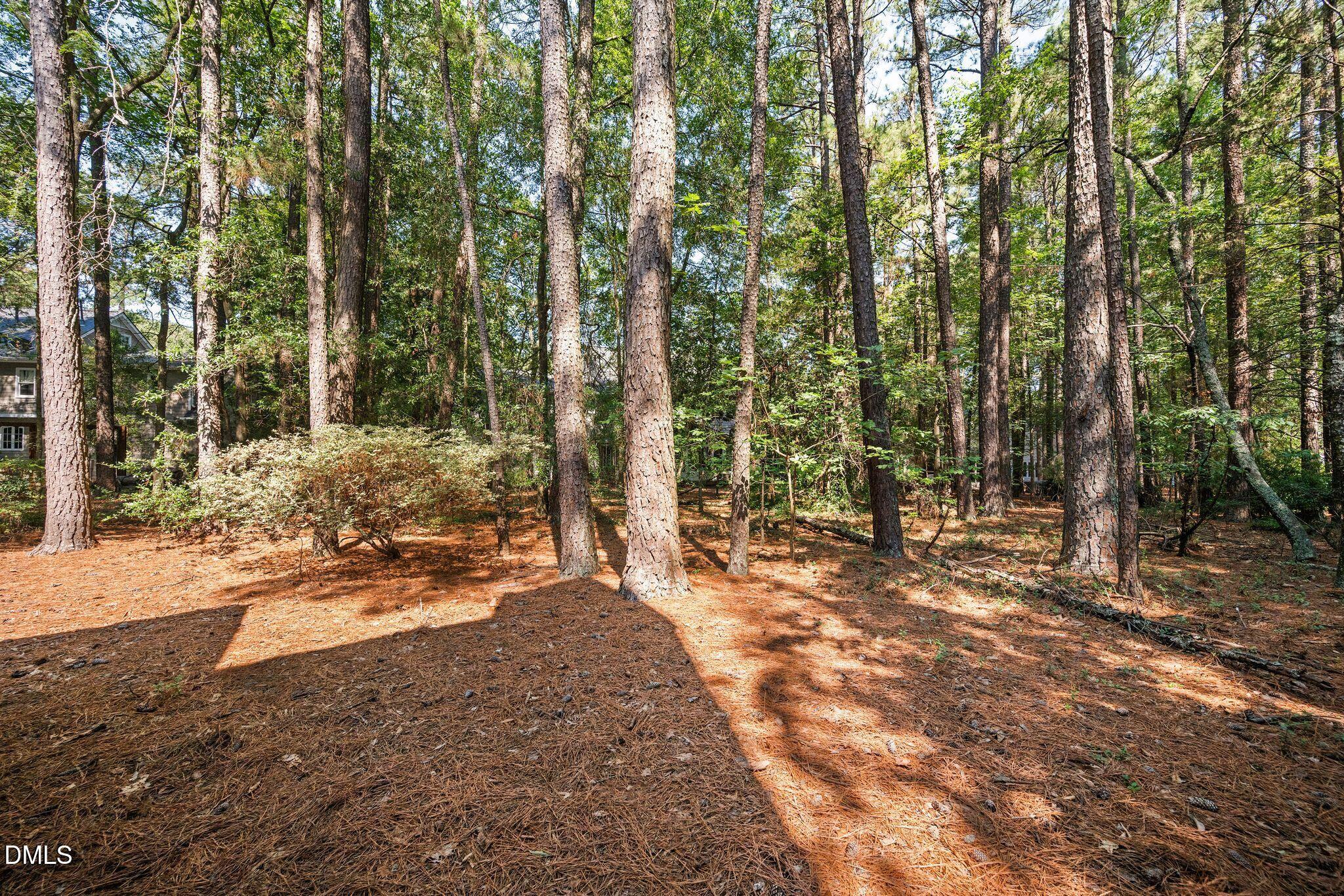 505 Heathridge Lane Property Photo 46