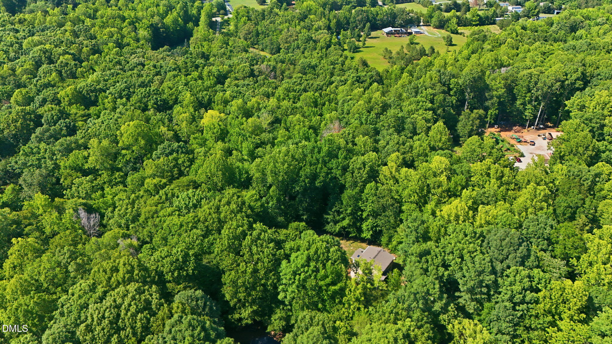 419 Calvary Court Property Photo 53