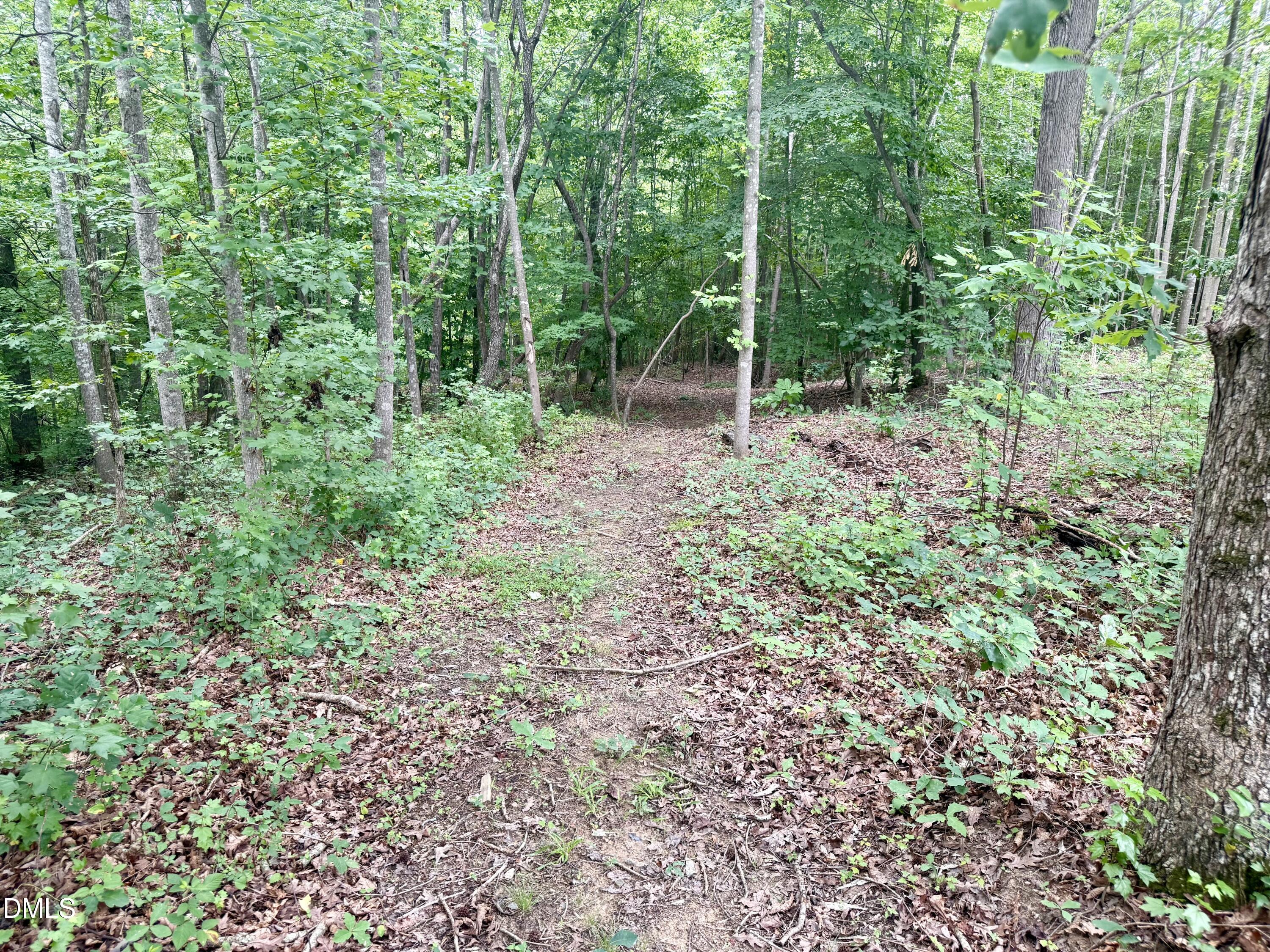 751 Cascade Lane Property Photo 29