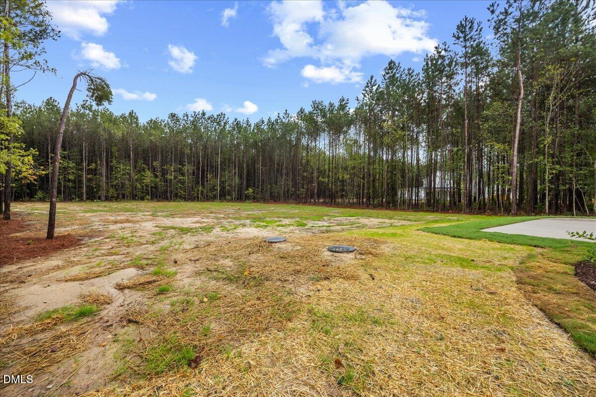 306 Green Pines Estates Drive Property Photo 30
