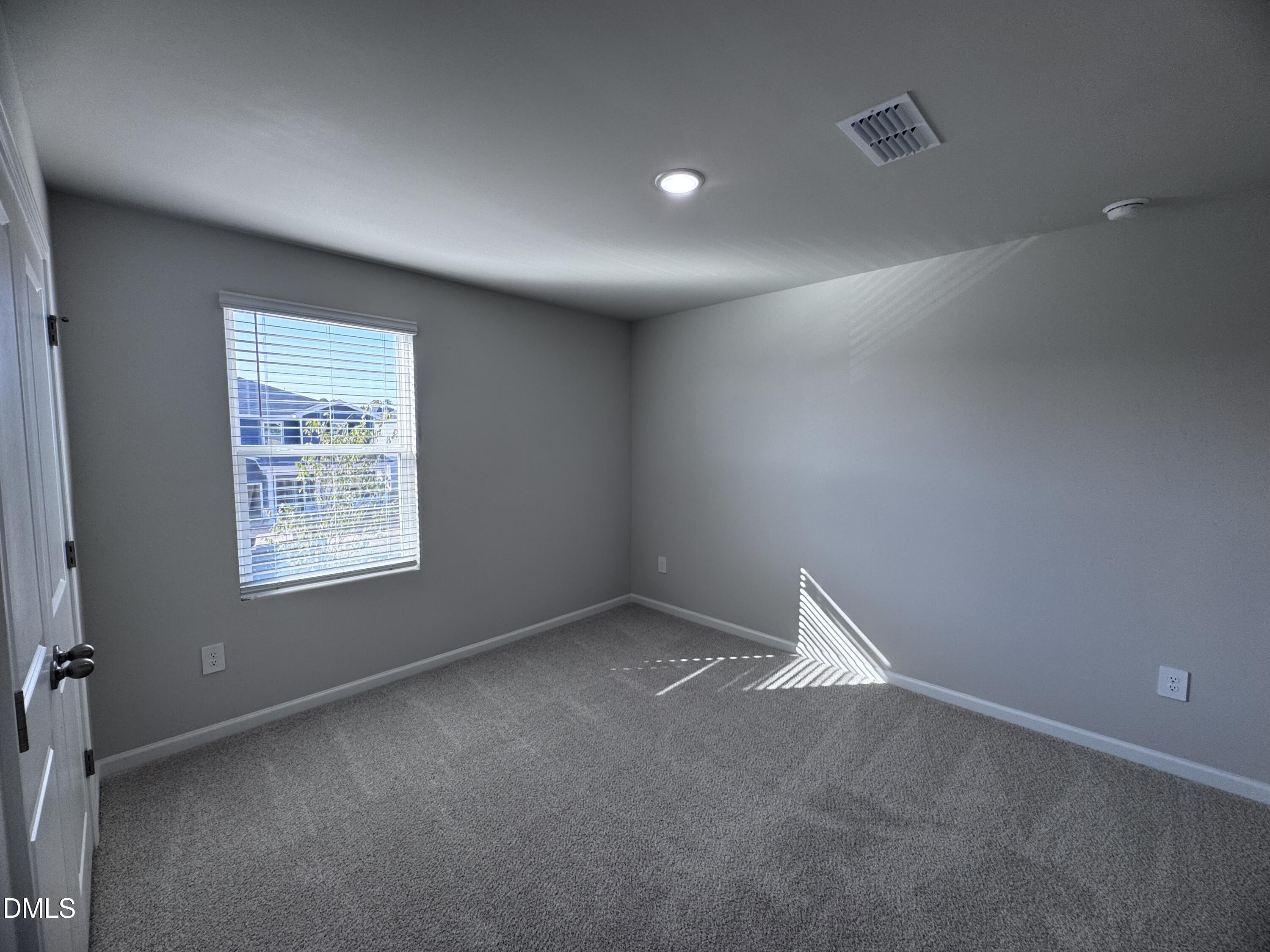 62 Thistle Patch Place Property Photo 11
