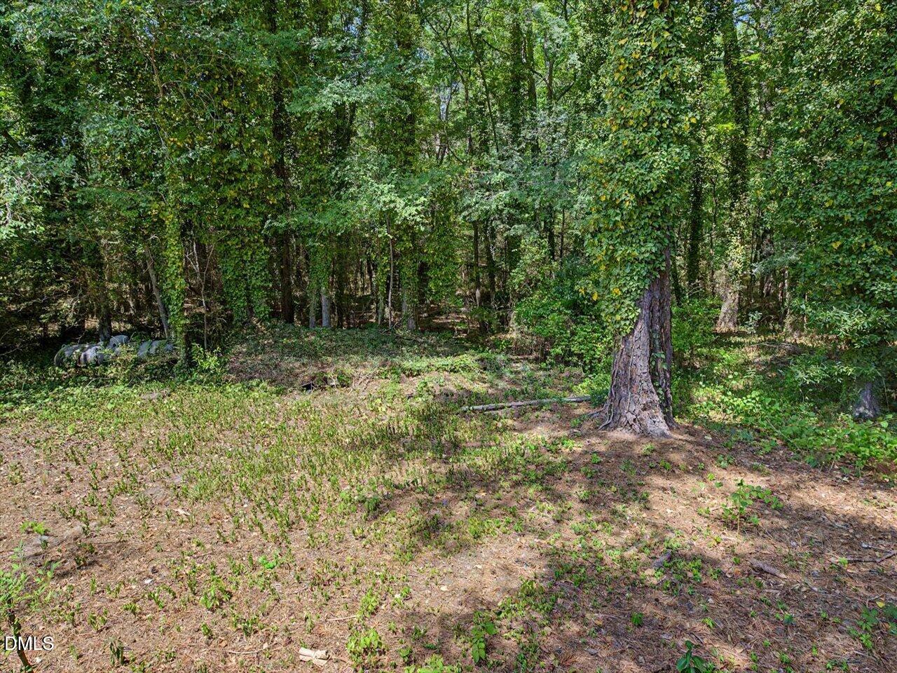 2509 Farrington Point Road Property Photo 36