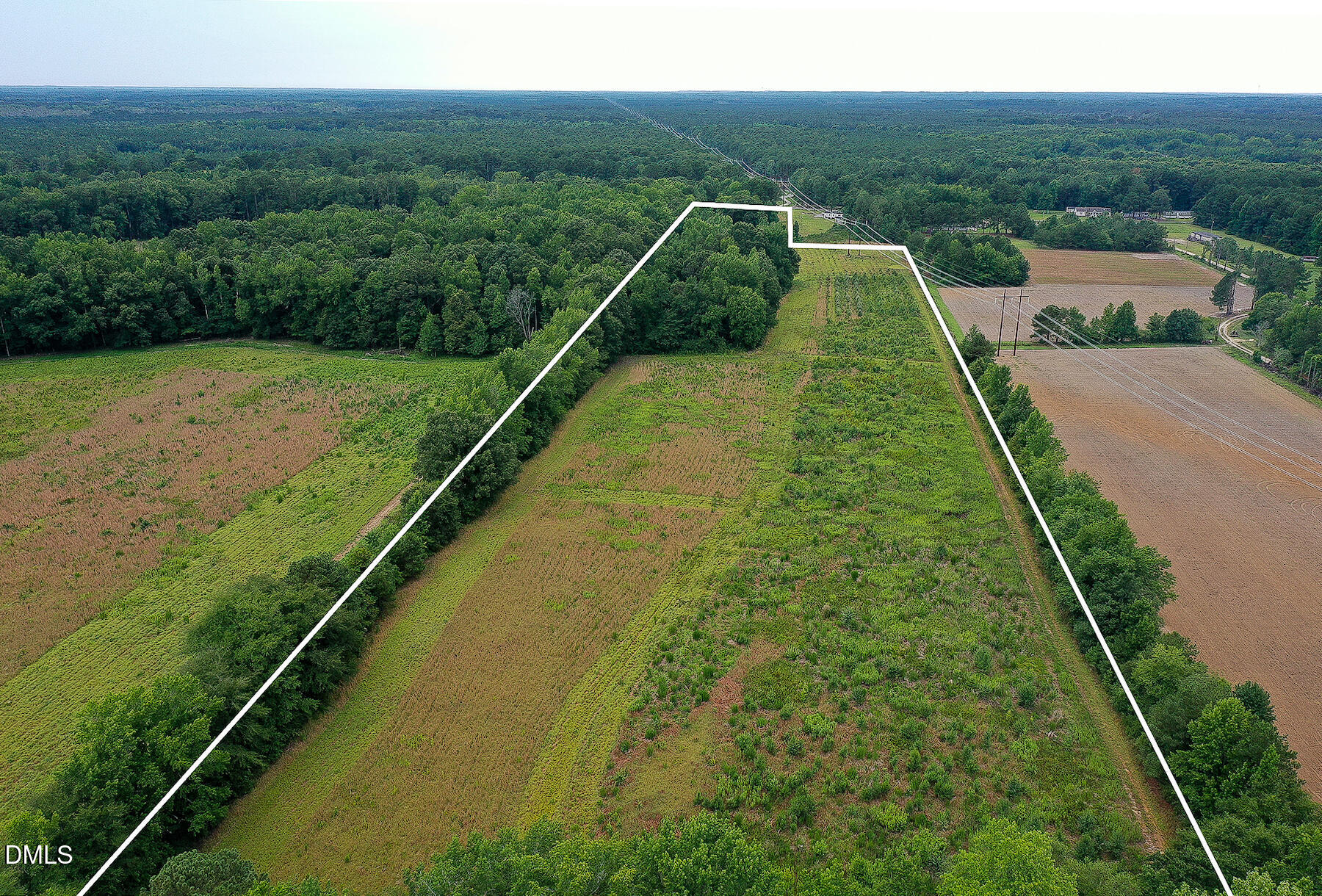 19.2 Acres Bunnlevel Erwin Road Property Photo 3