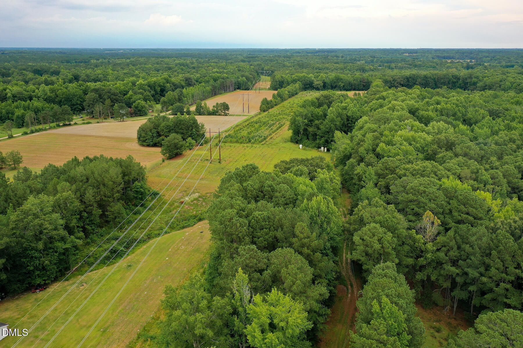 19.2 Acres Bunnlevel Erwin Road Property Photo 4