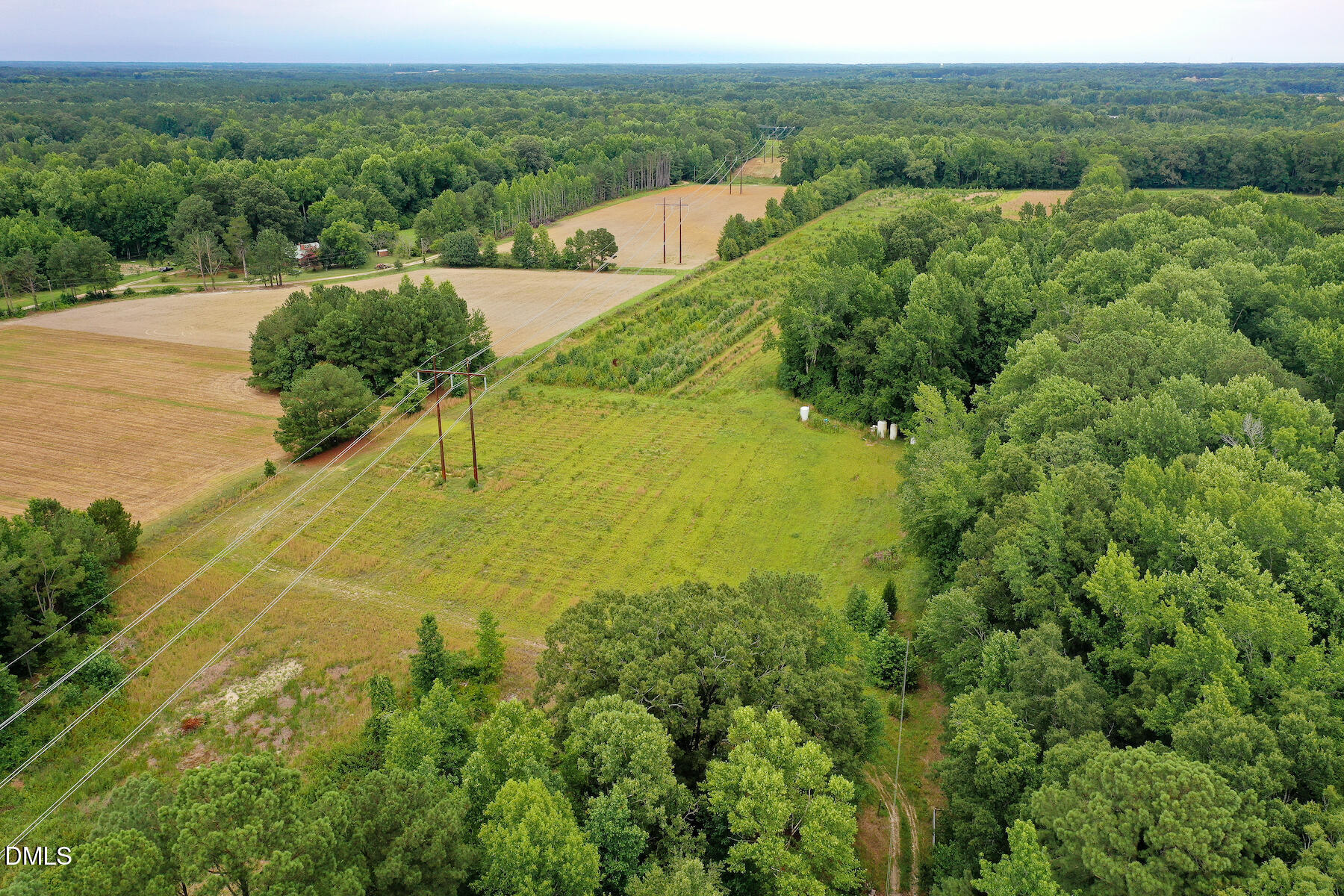19.2 Acres Bunnlevel Erwin Road Property Photo 5
