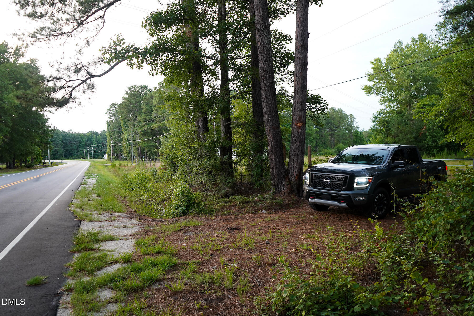 19.2 Acres Bunnlevel Erwin Road Property Photo 6