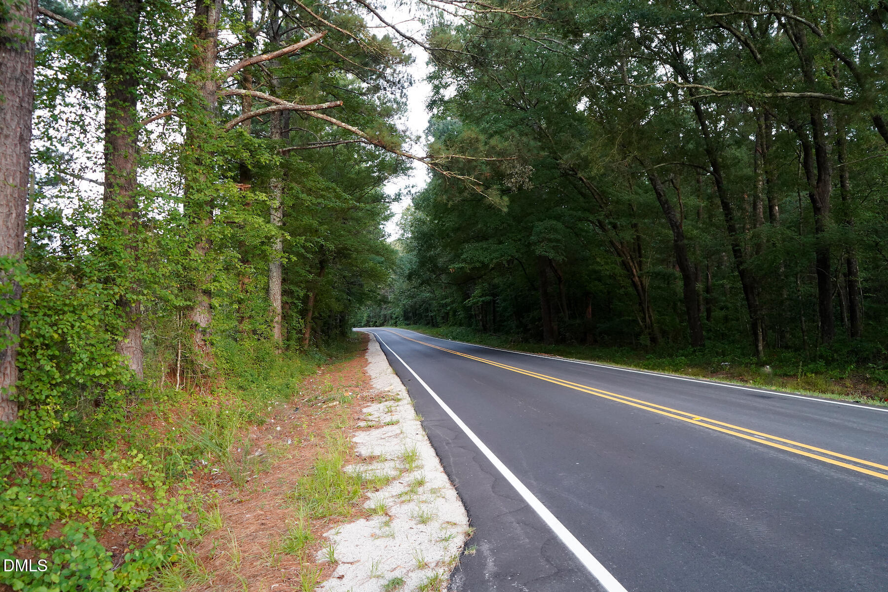 19.2 Acres Bunnlevel Erwin Road Property Photo 7
